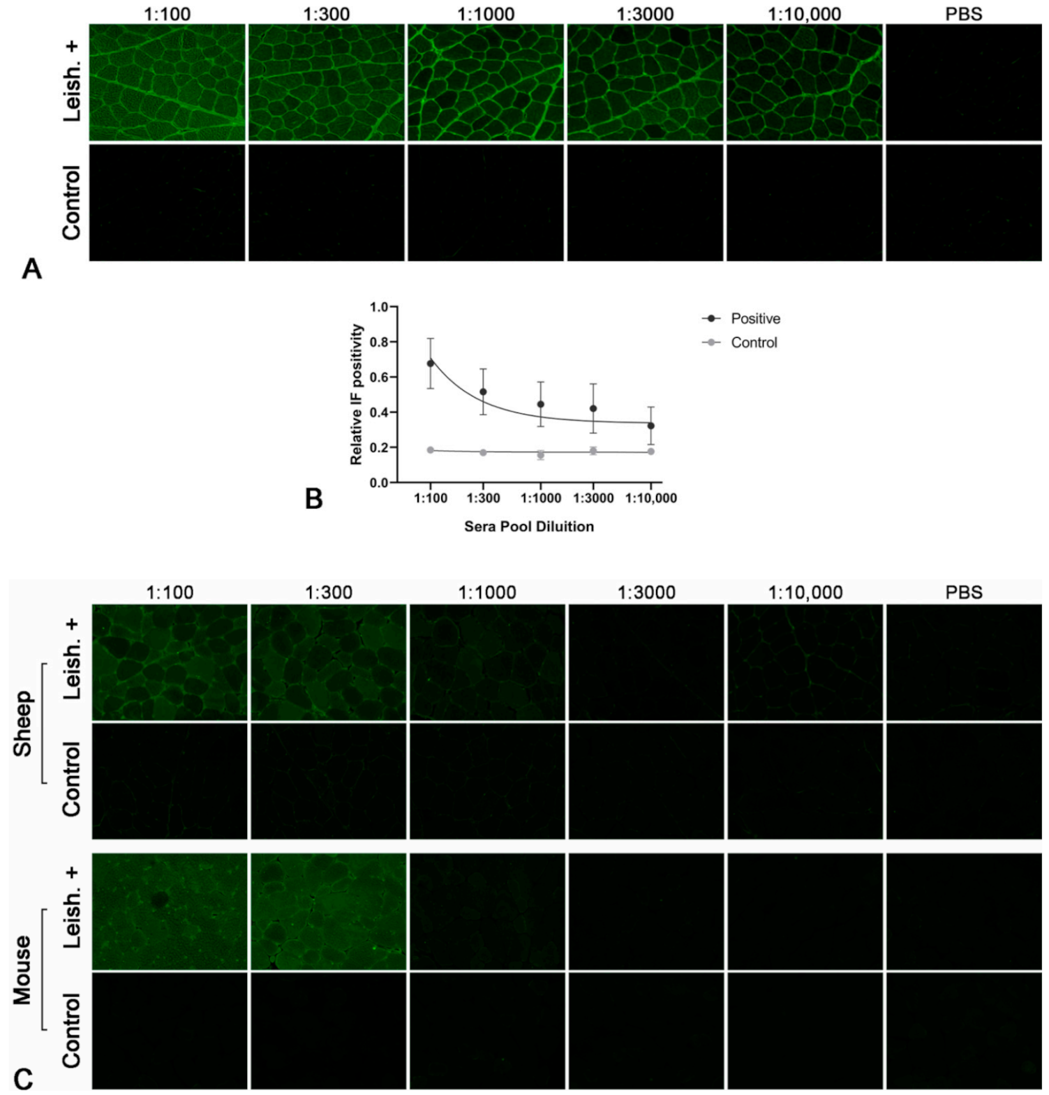 Pathogens 10 00463 g001