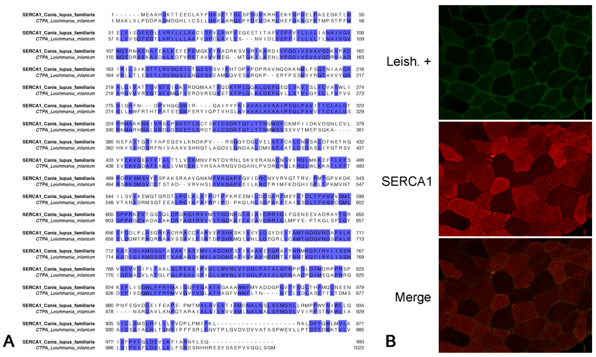 Pathogens 10 00463 g003