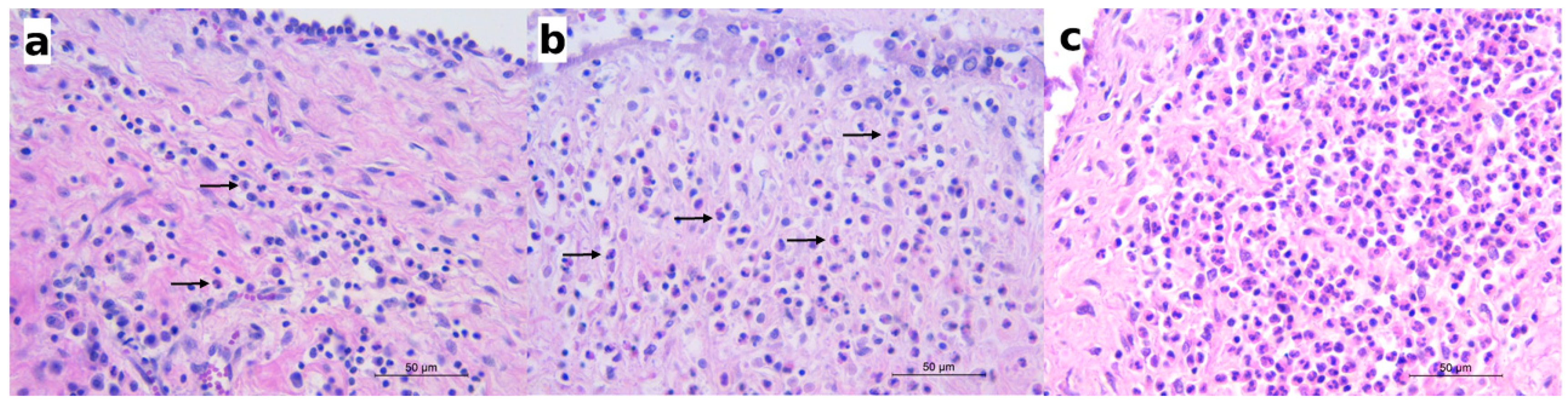 Pathogens 10 00474 g003