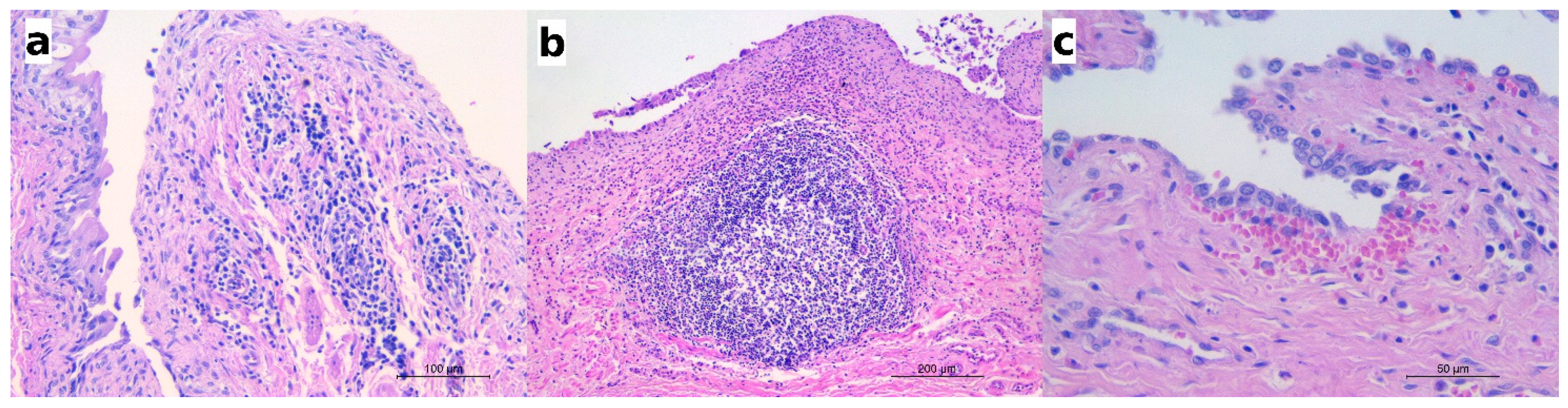 Pathogens 10 00474 g004