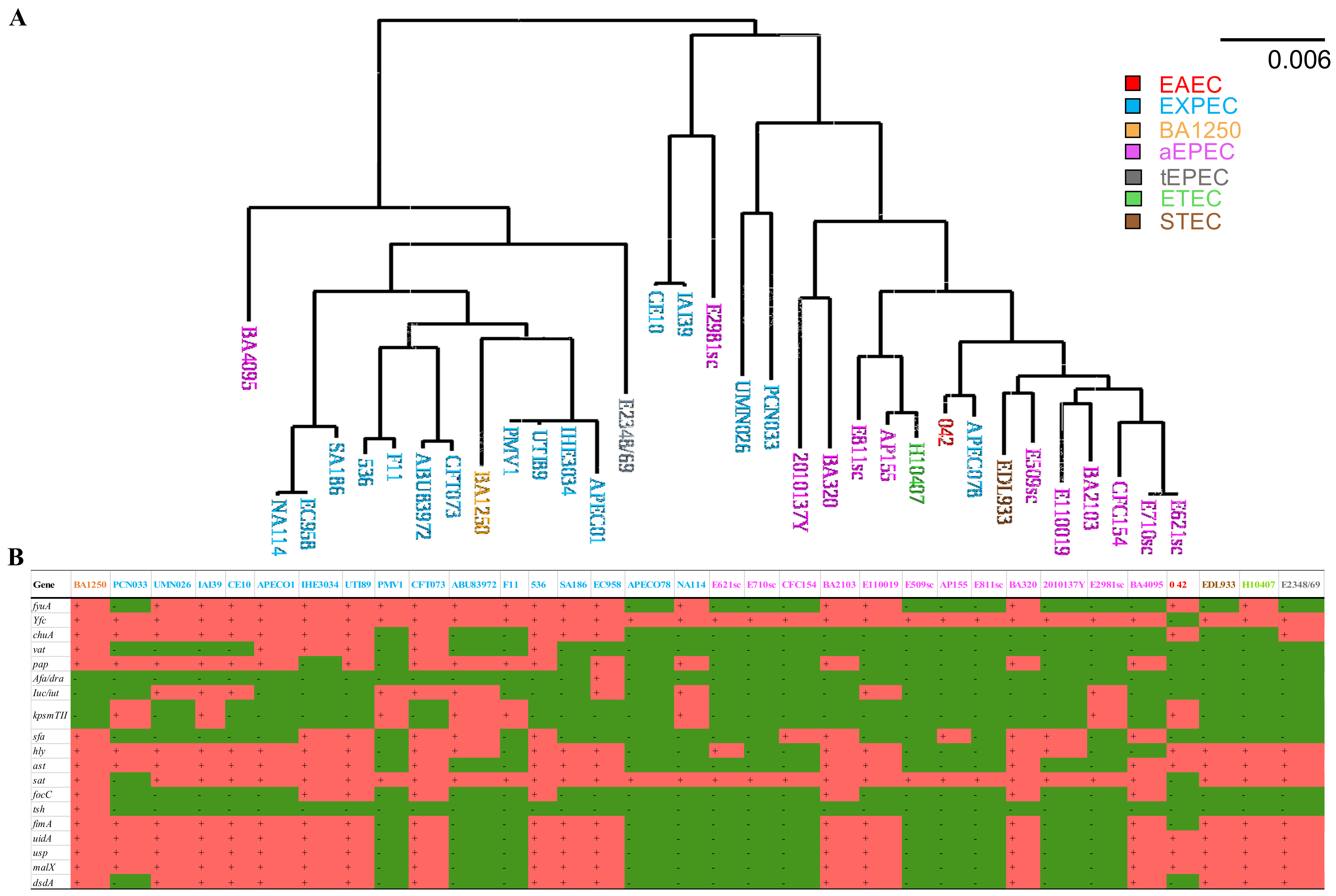 Pathogens 10 00475 g001