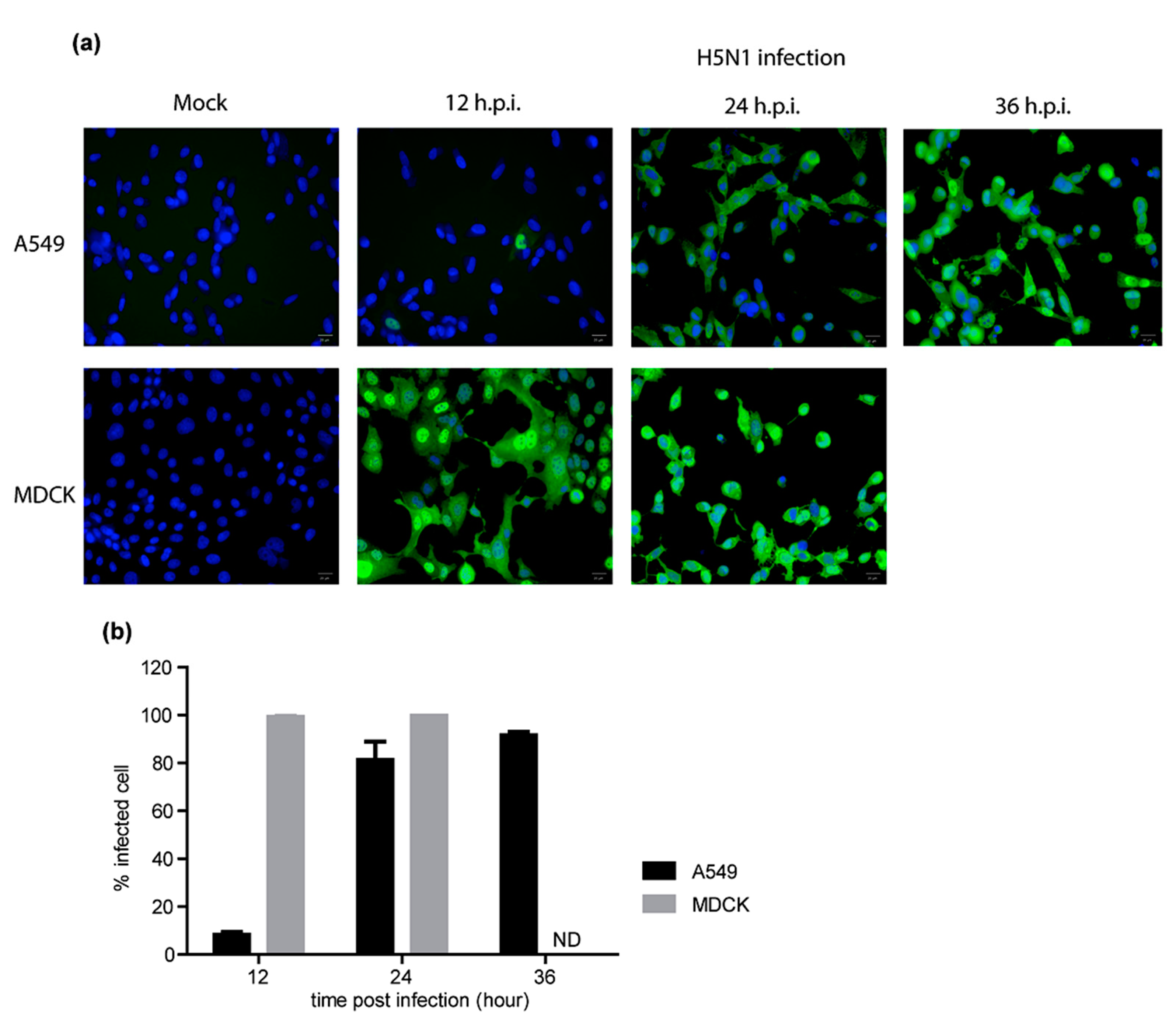 Pathogens 10 00483 g0a1 Pathogens 10 00483 g0a1