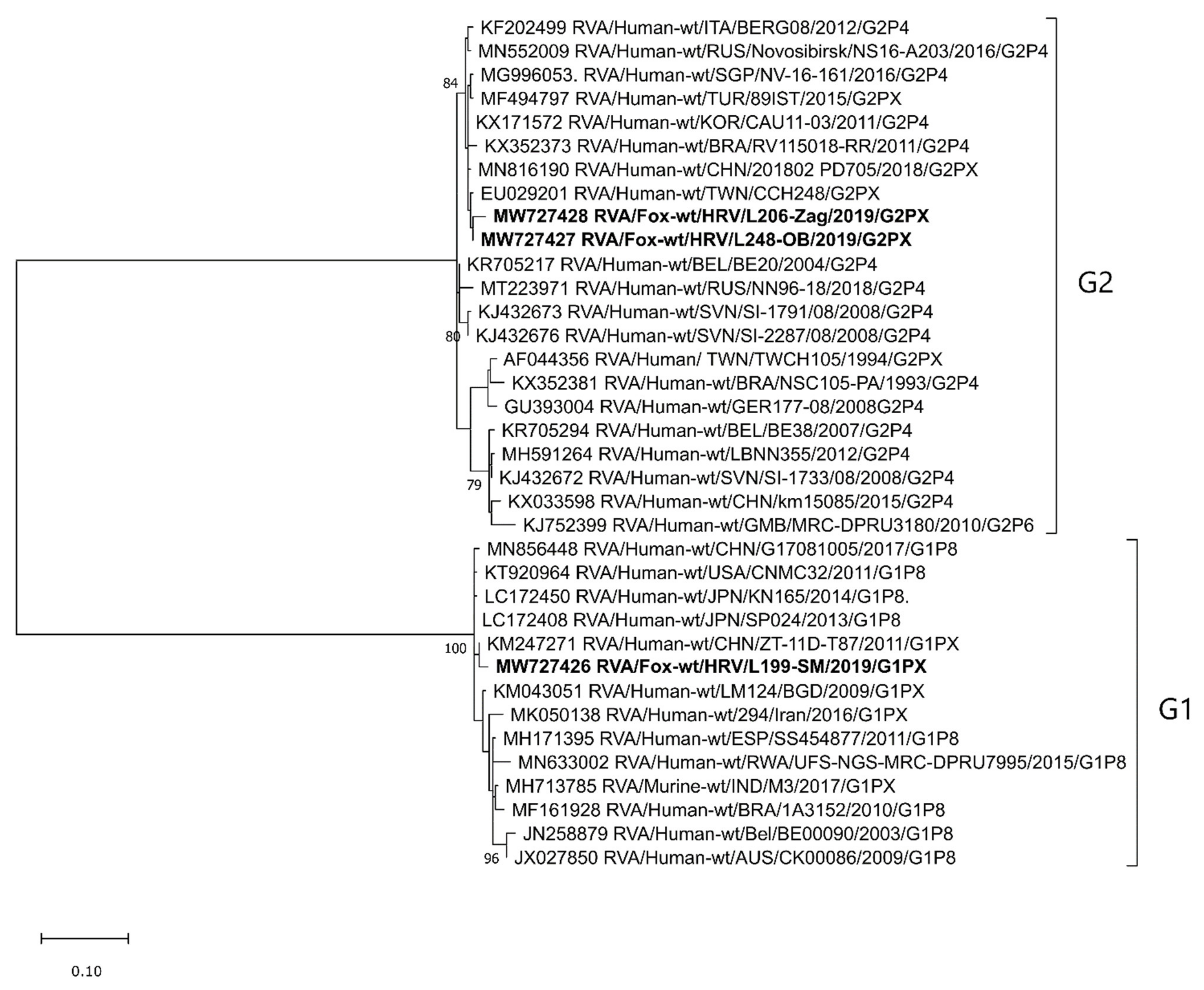 Pathogens 10 00485 g001 Pathogens 10 00485 g001