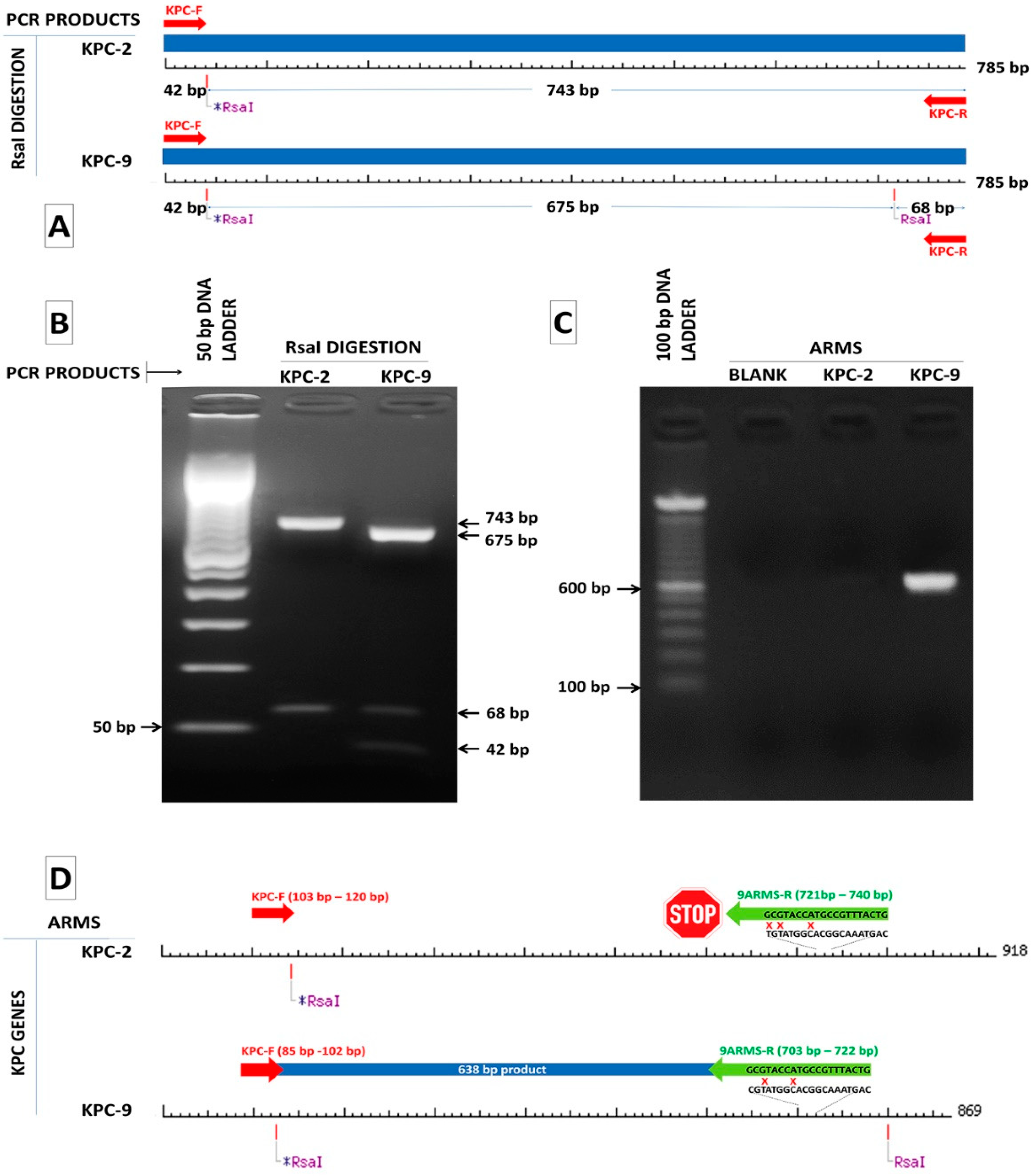 Pathogens 10 00487 g001 Pathogens 10 00487 g001