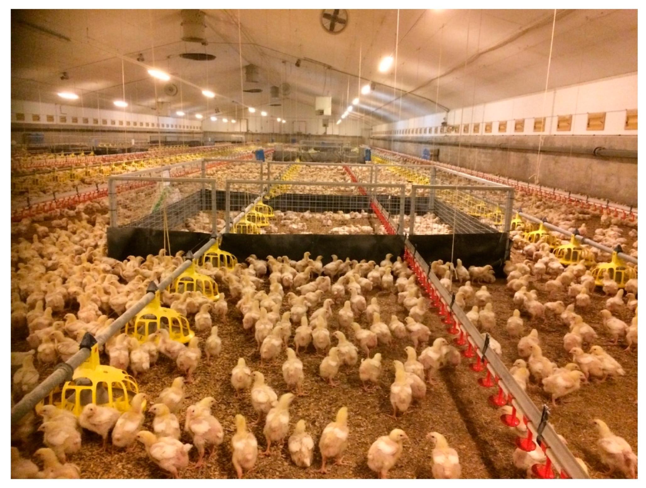 Pathogens 10 00492 g001 Pathogens 10 00492 g001