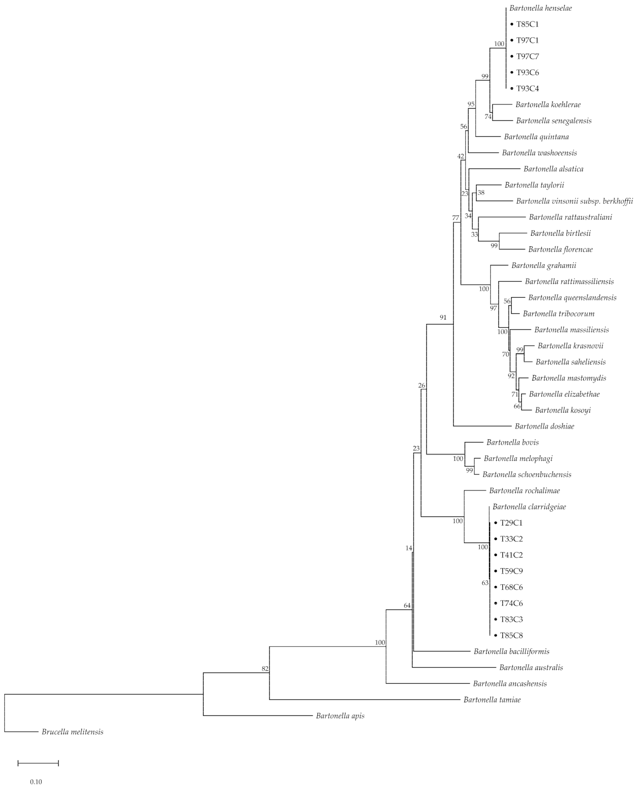 Pathogens 10 00503 g002
