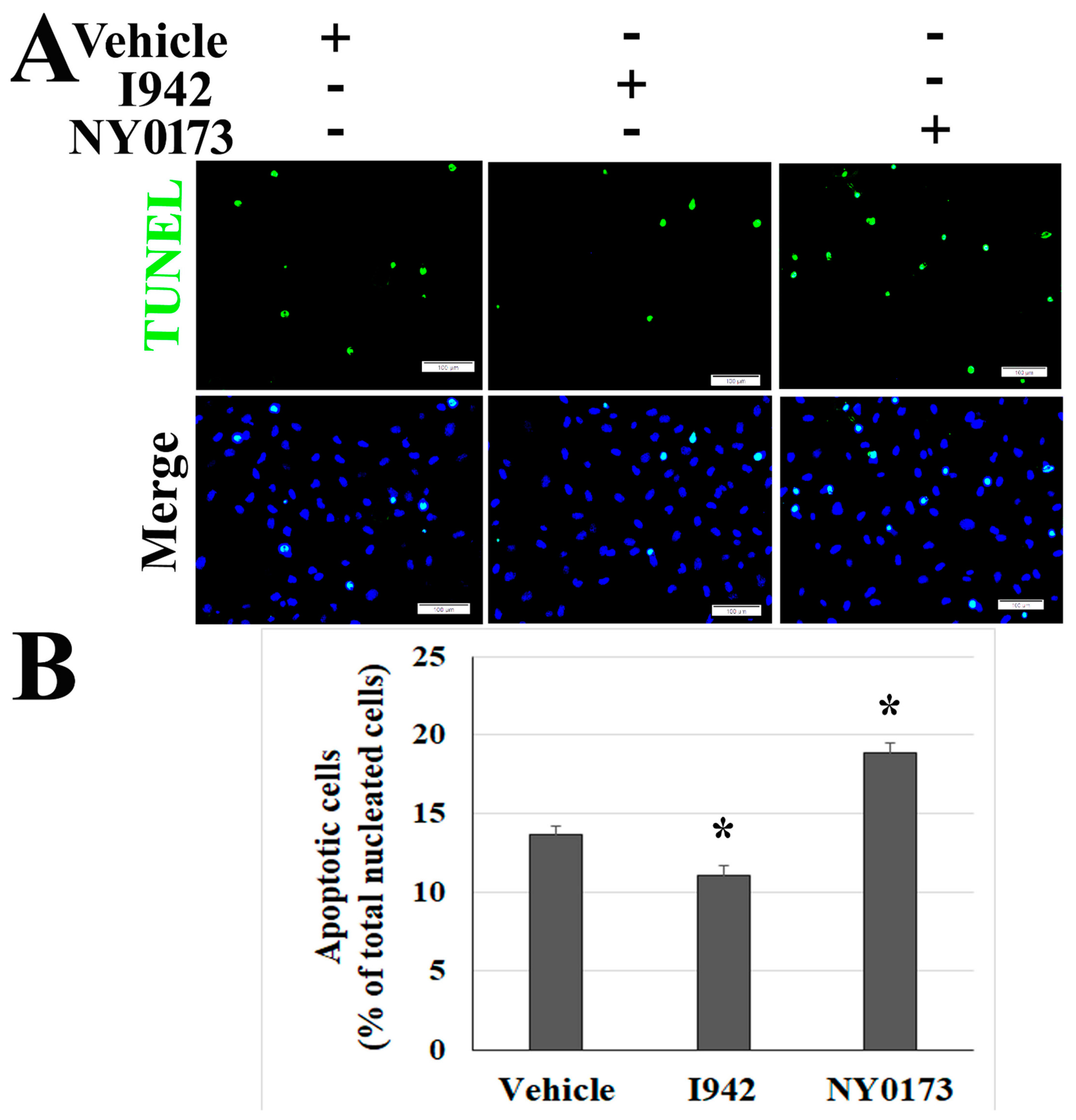 Pathogens 10 00509 g010 Pathogens 10 00509 g010