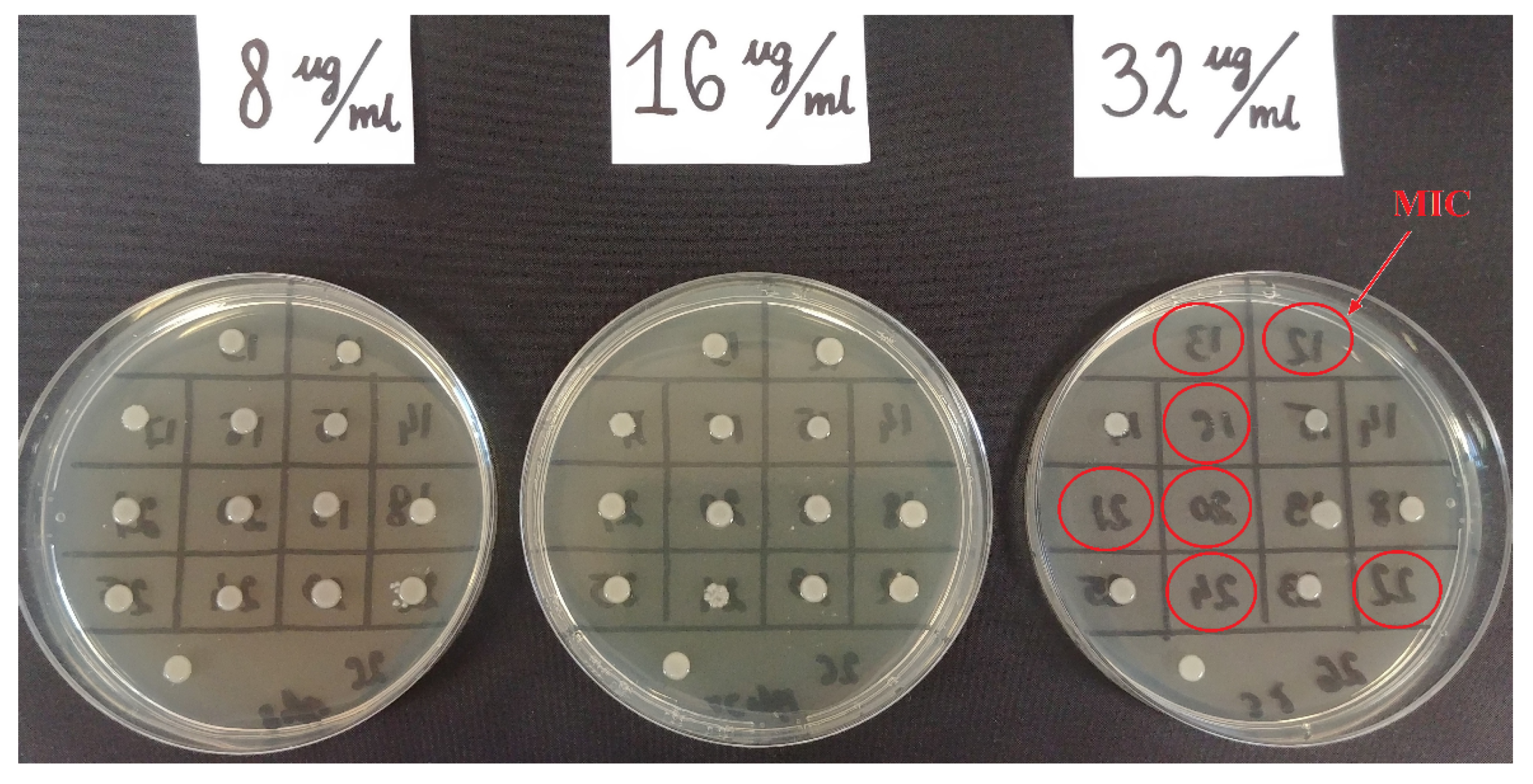 Pathogens 10 00512 g003