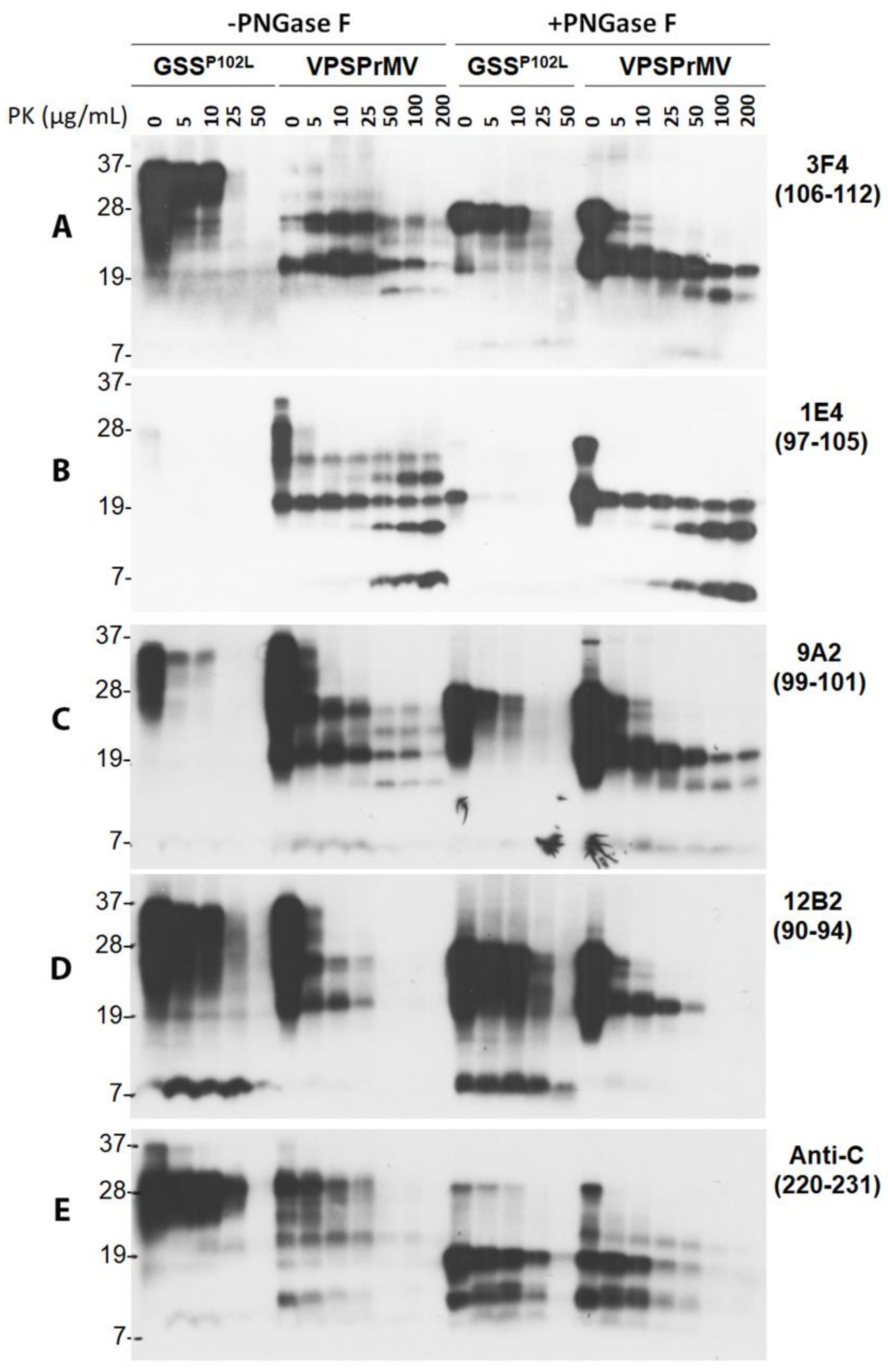Pathogens 10 00513 g006 Pathogens 10 00513 g006