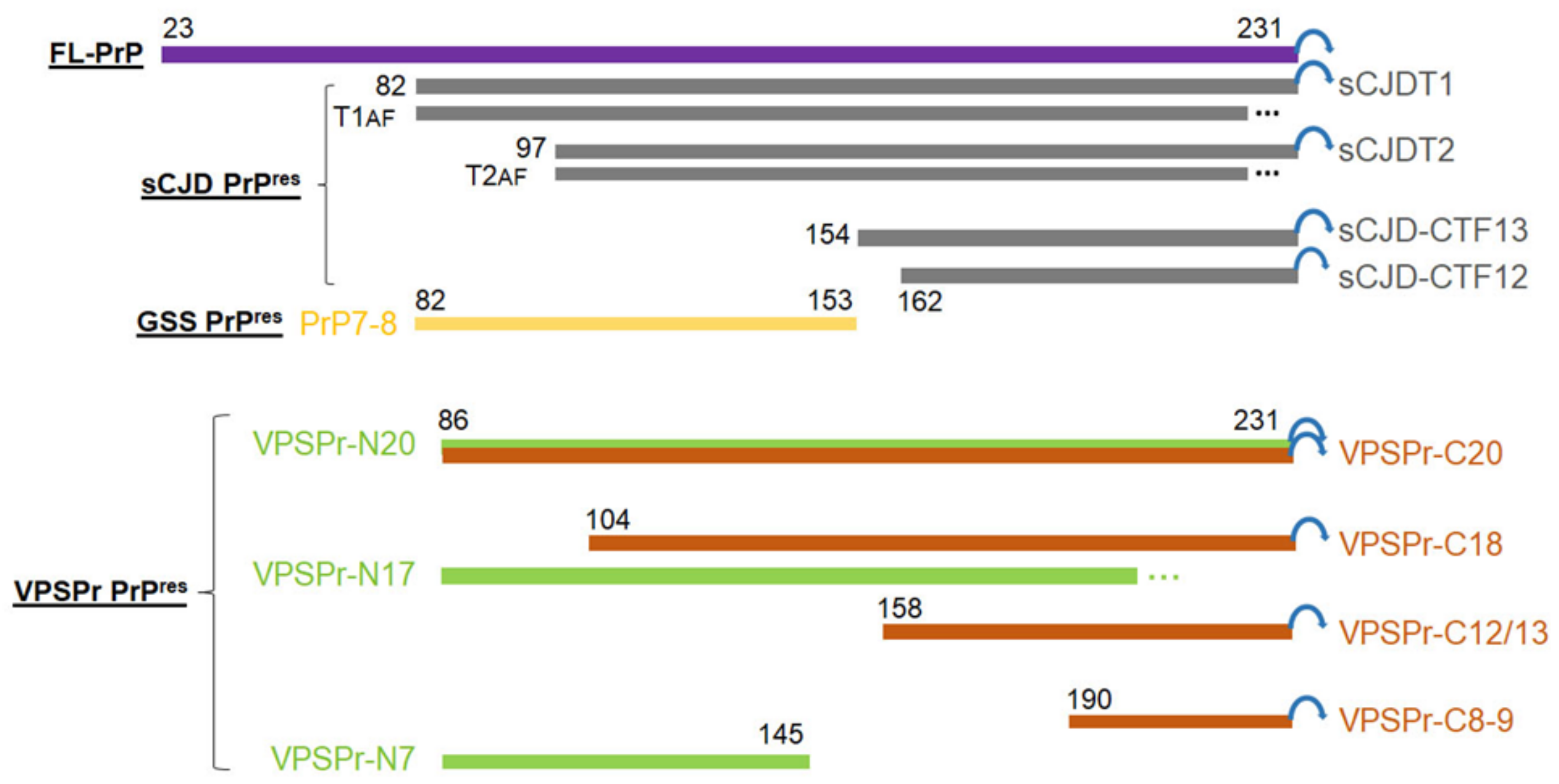 Pathogens 10 00513 g008 Pathogens 10 00513 g008