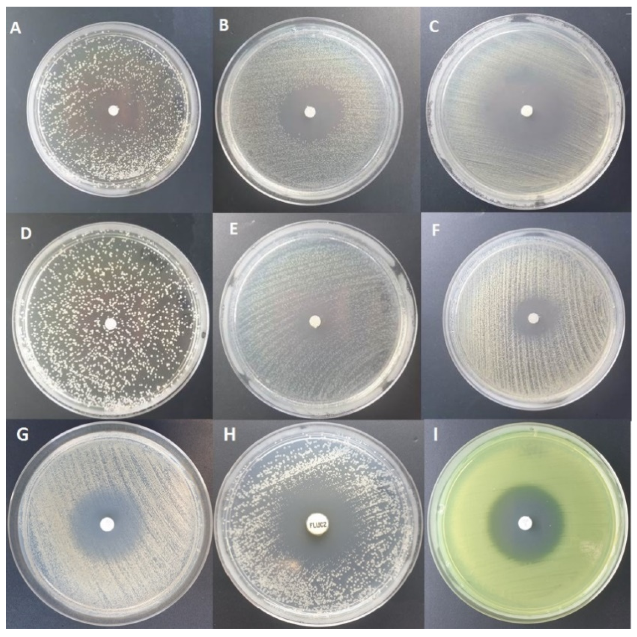 Pathogens 10 00515 g001 Pathogens 10 00515 g001