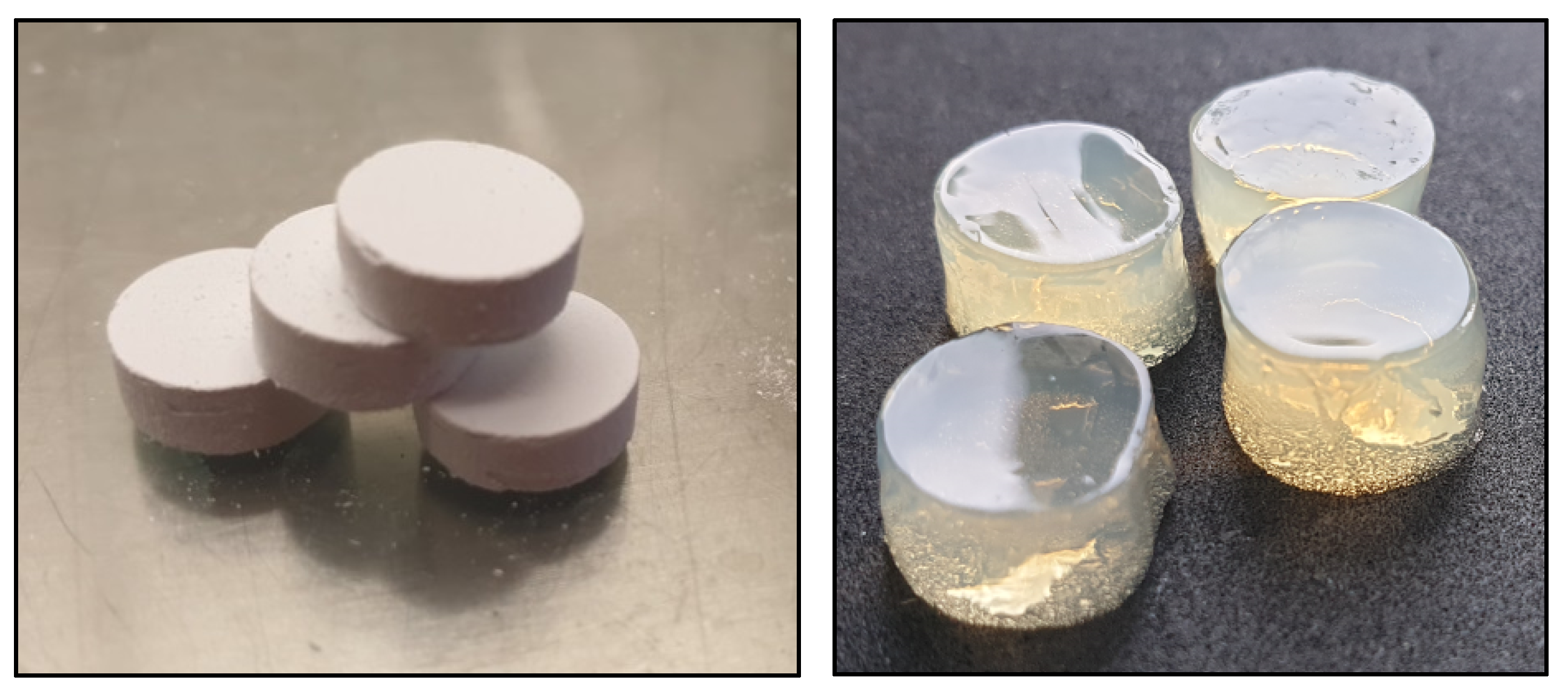 Pathogens 10 00515 g012 Pathogens 10 00515 g012