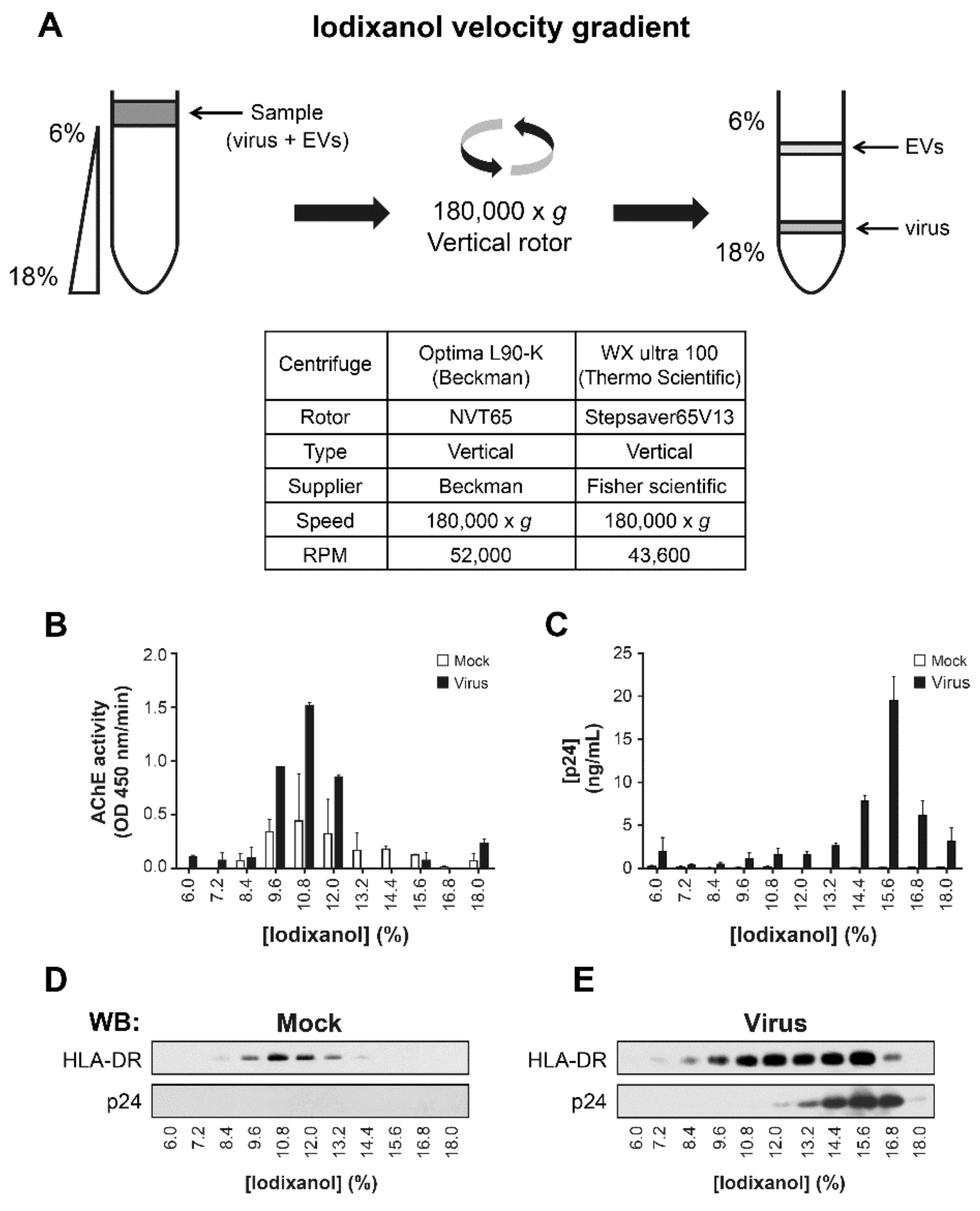 Pathogens 10 00526 g001 Pathogens 10 00526 g001