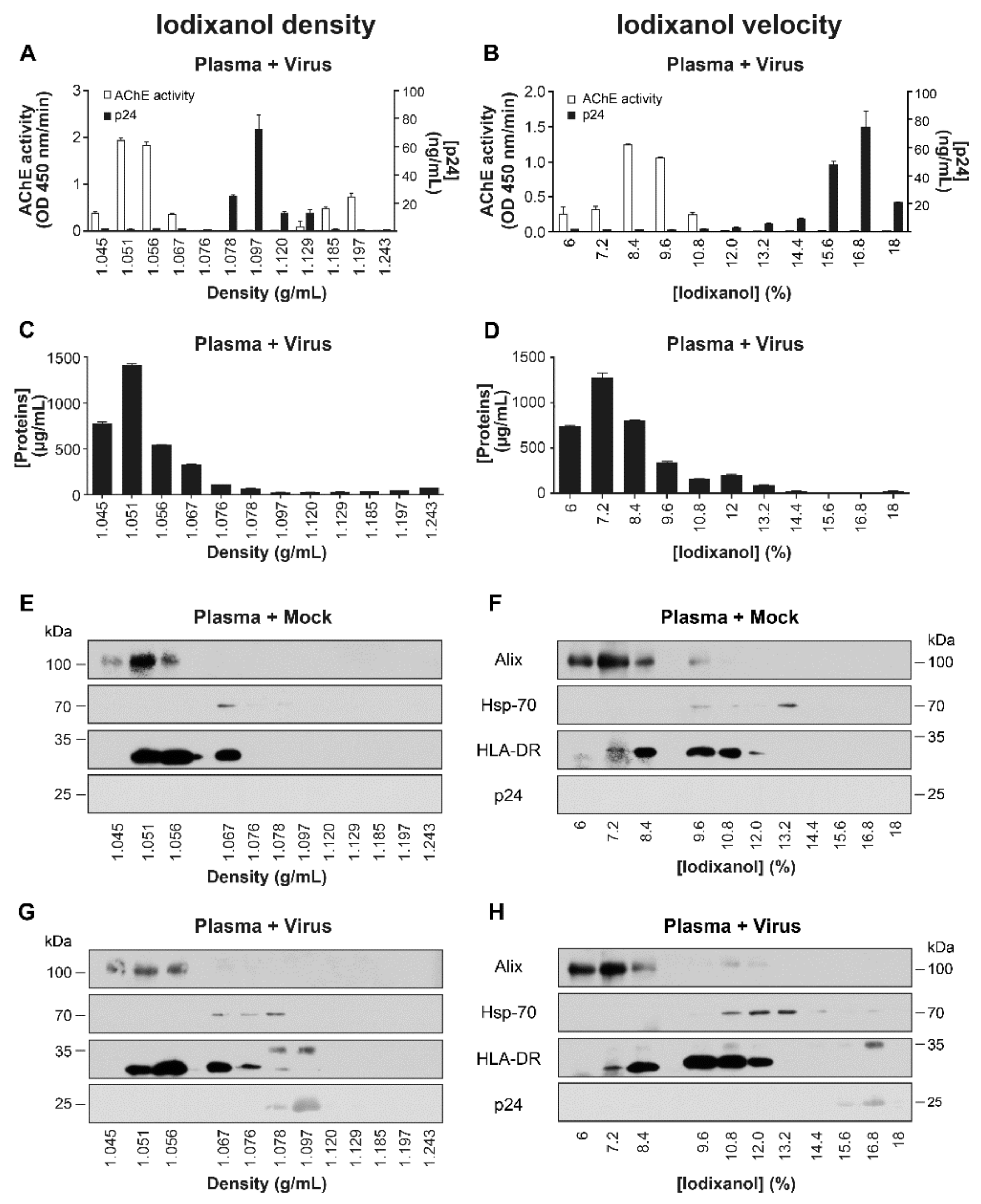 Pathogens 10 00526 g005 Pathogens 10 00526 g005