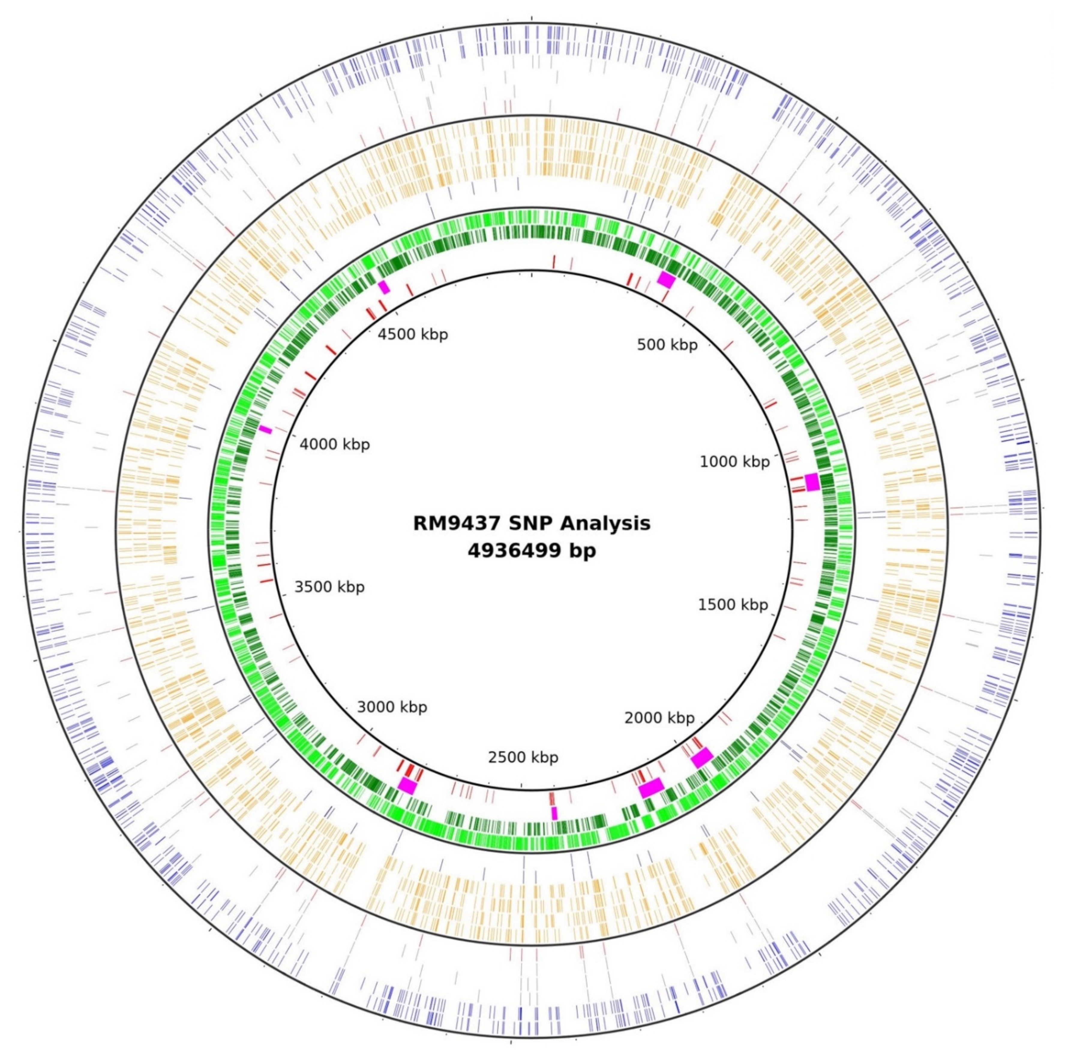Pathogens 10 00529 g001 Pathogens 10 00529 g001