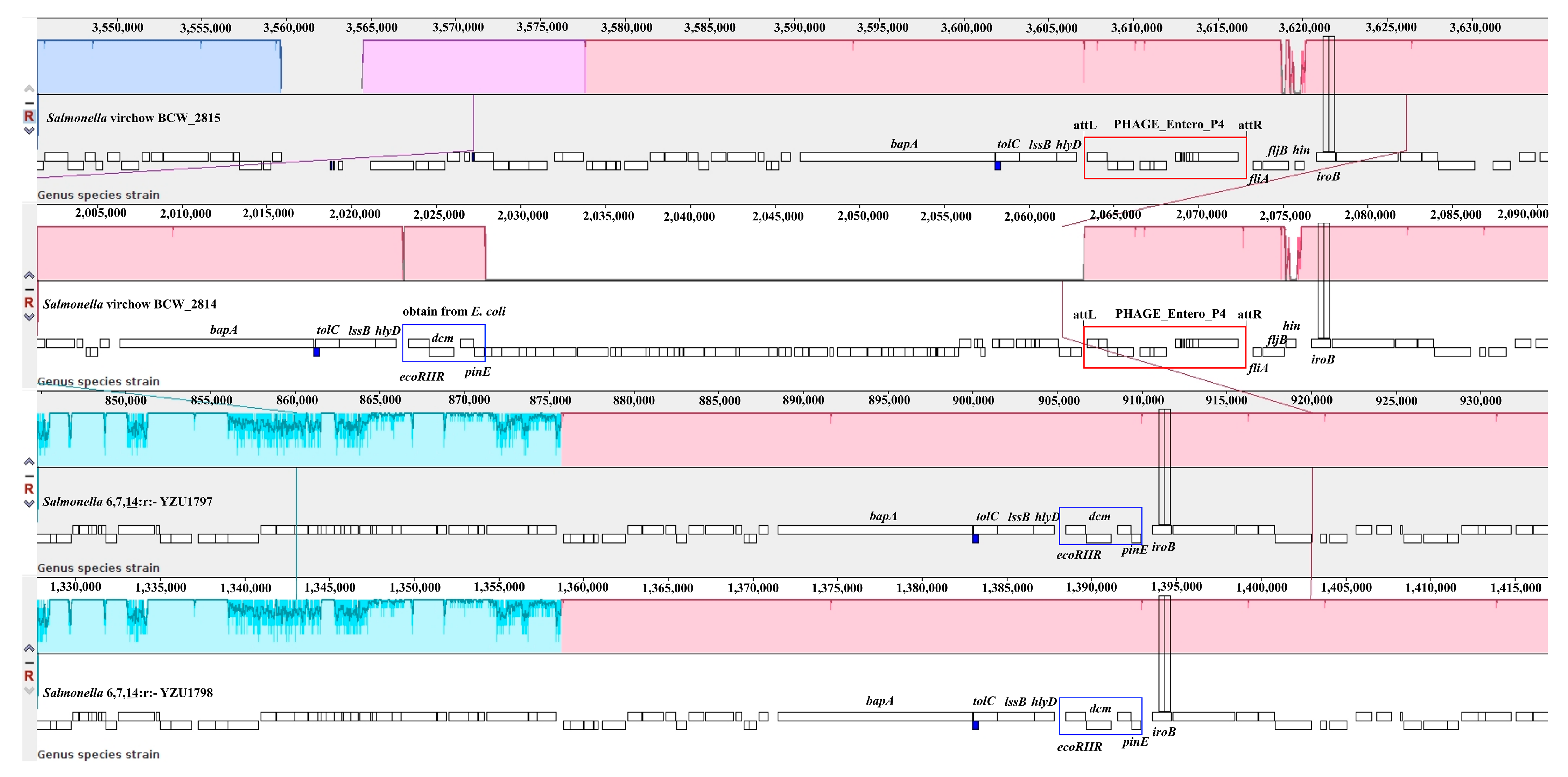 Pathogens 10 00536 g001 Pathogens 10 00536 g001