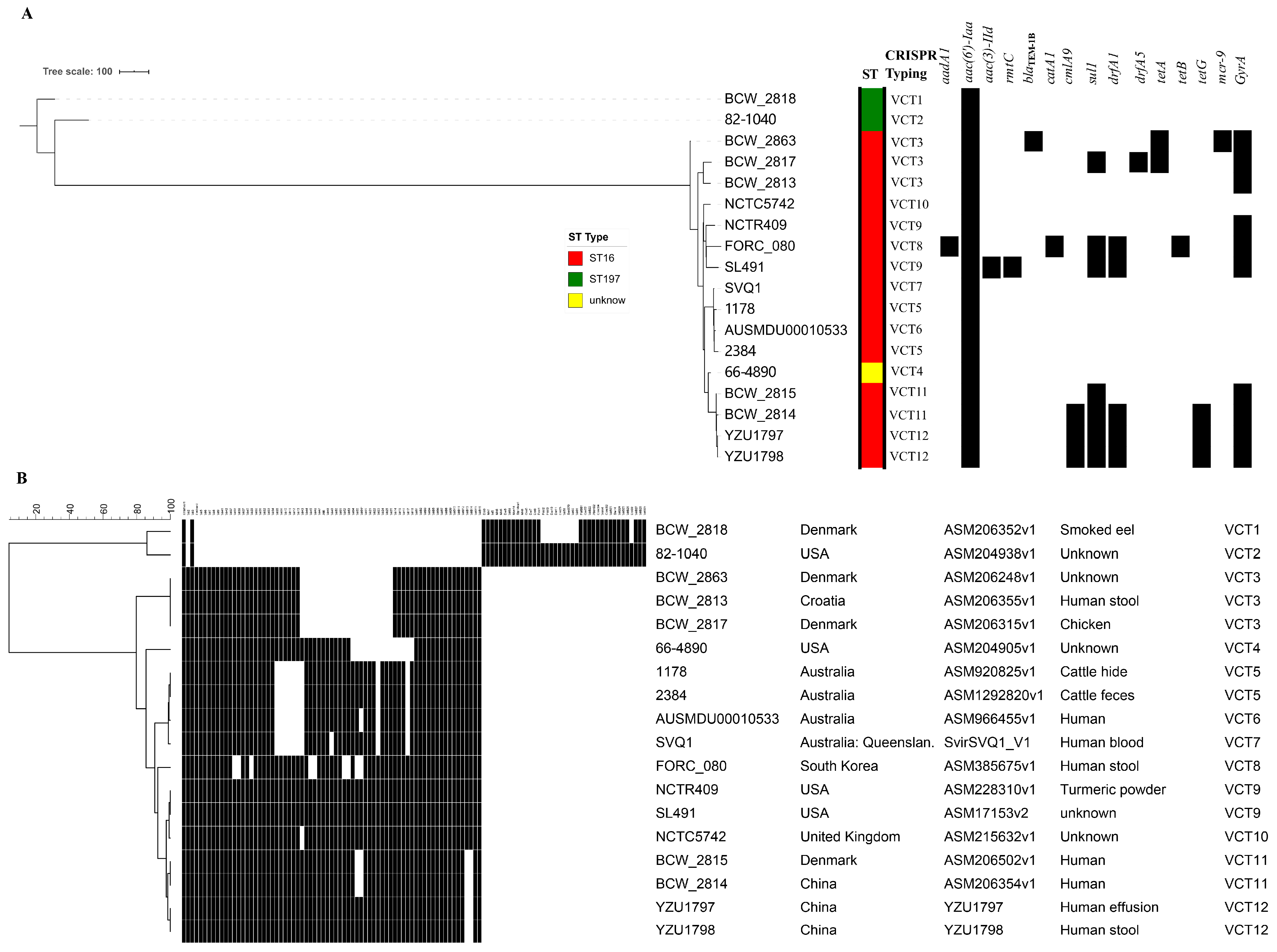 Pathogens 10 00536 g002 Pathogens 10 00536 g002
