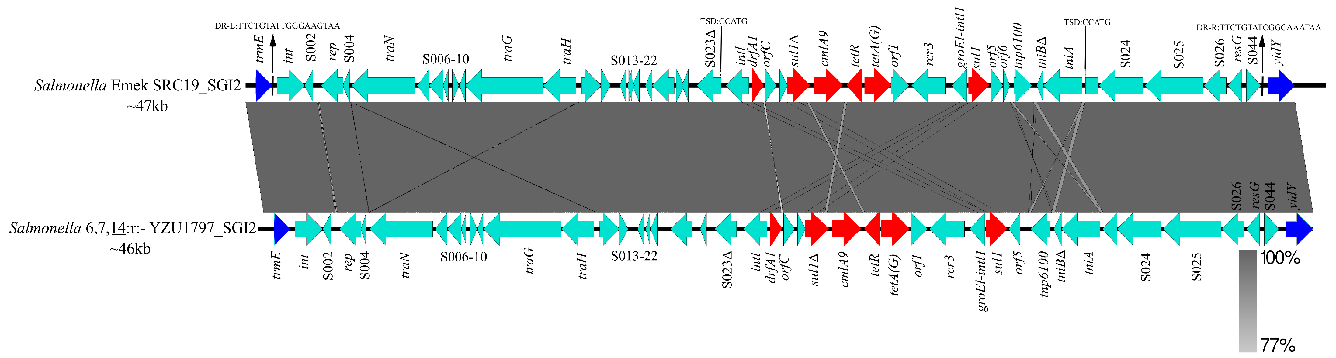 Pathogens 10 00536 g003 Pathogens 10 00536 g003