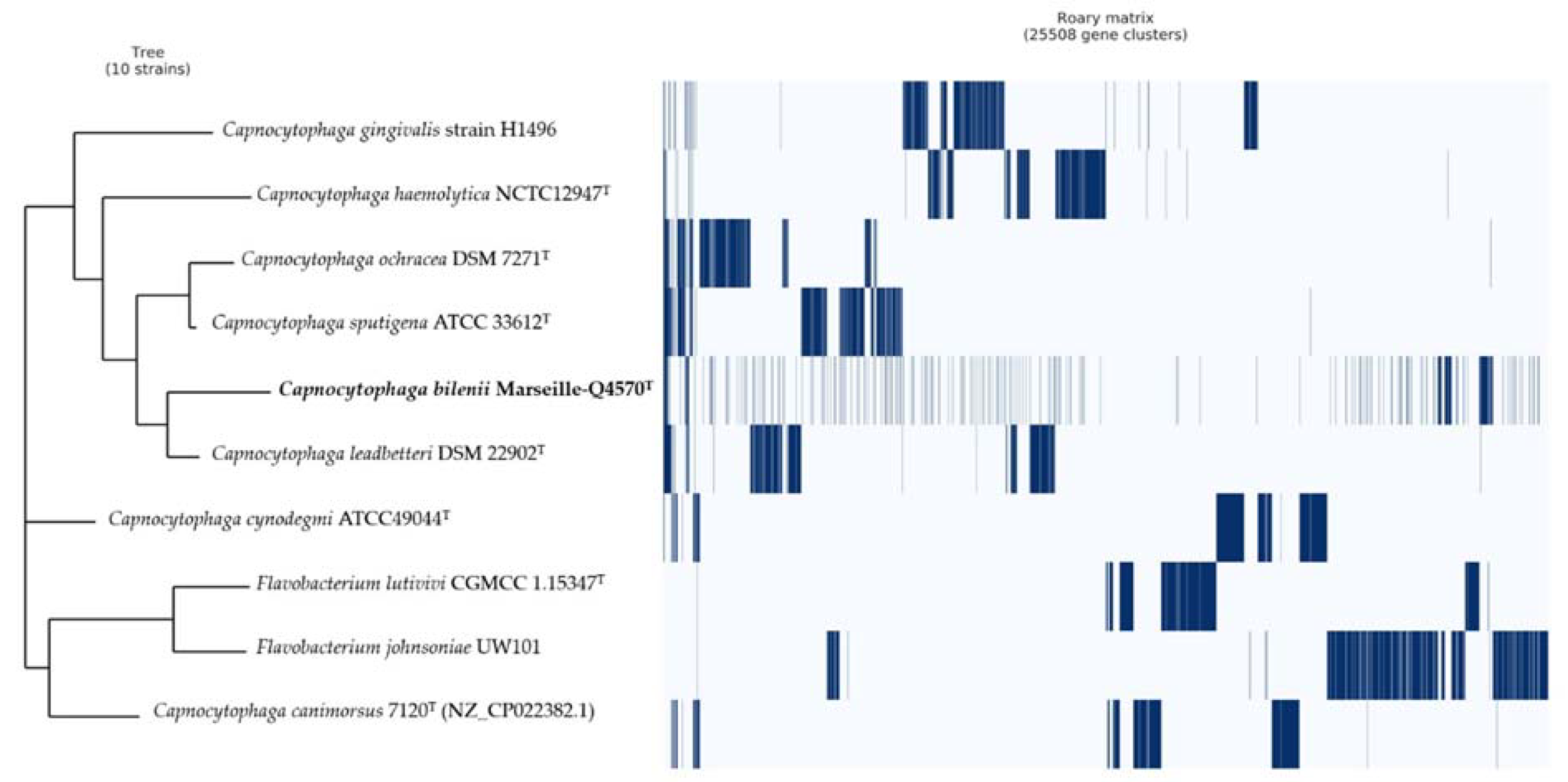 Pathogens 10 00547 g006