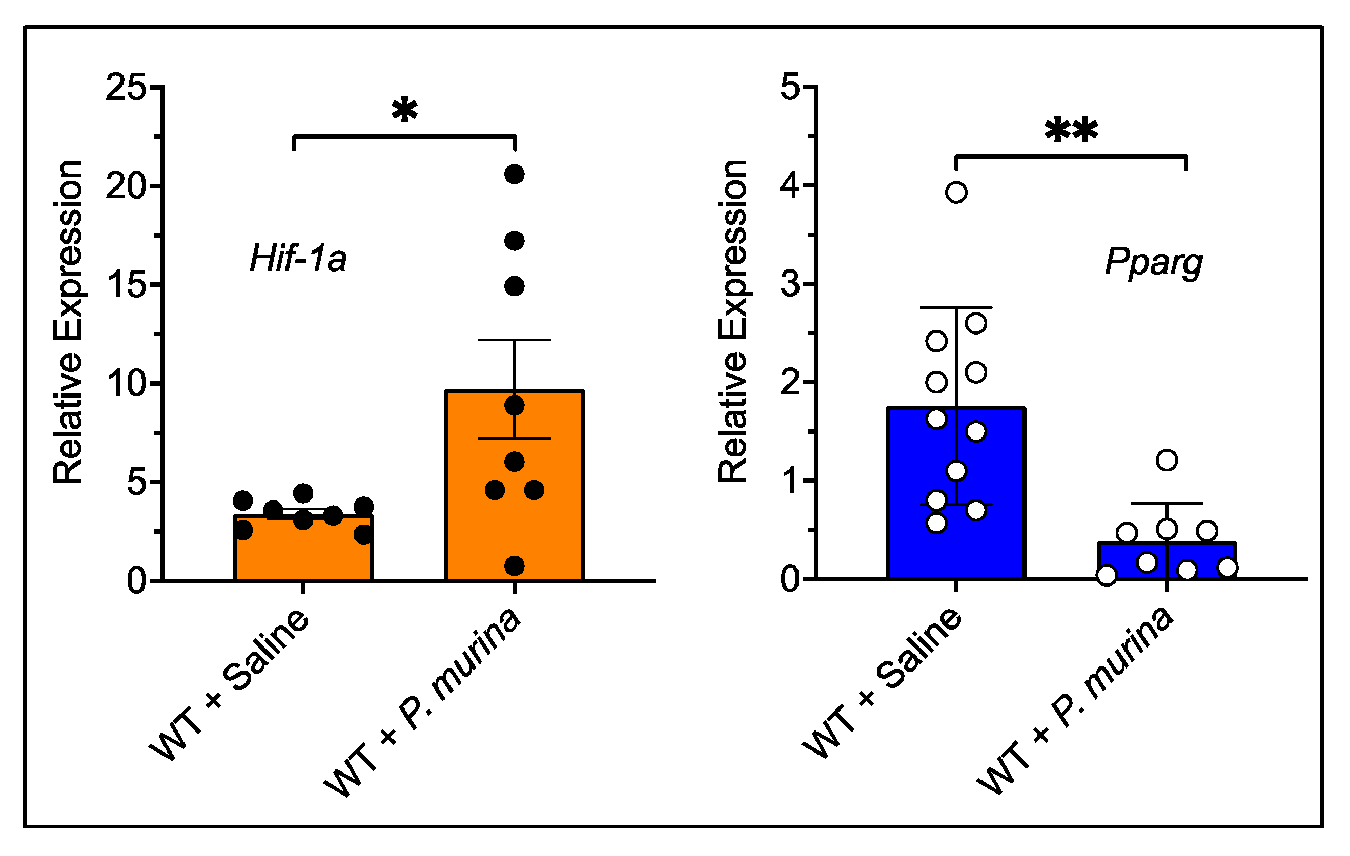Pathogens 10 00569 g003 Pathogens 10 00569 g003