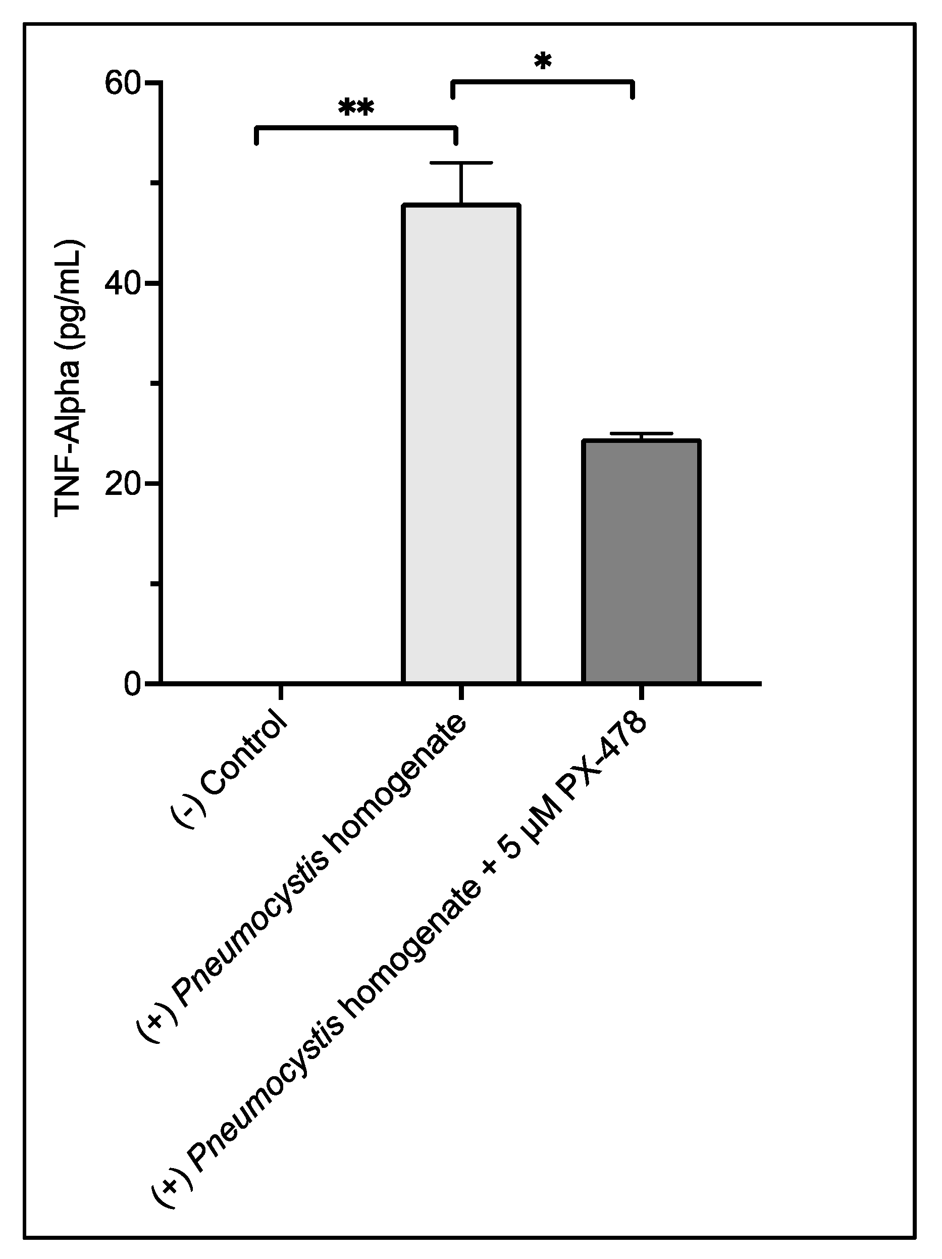 Pathogens 10 00569 g004 Pathogens 10 00569 g004