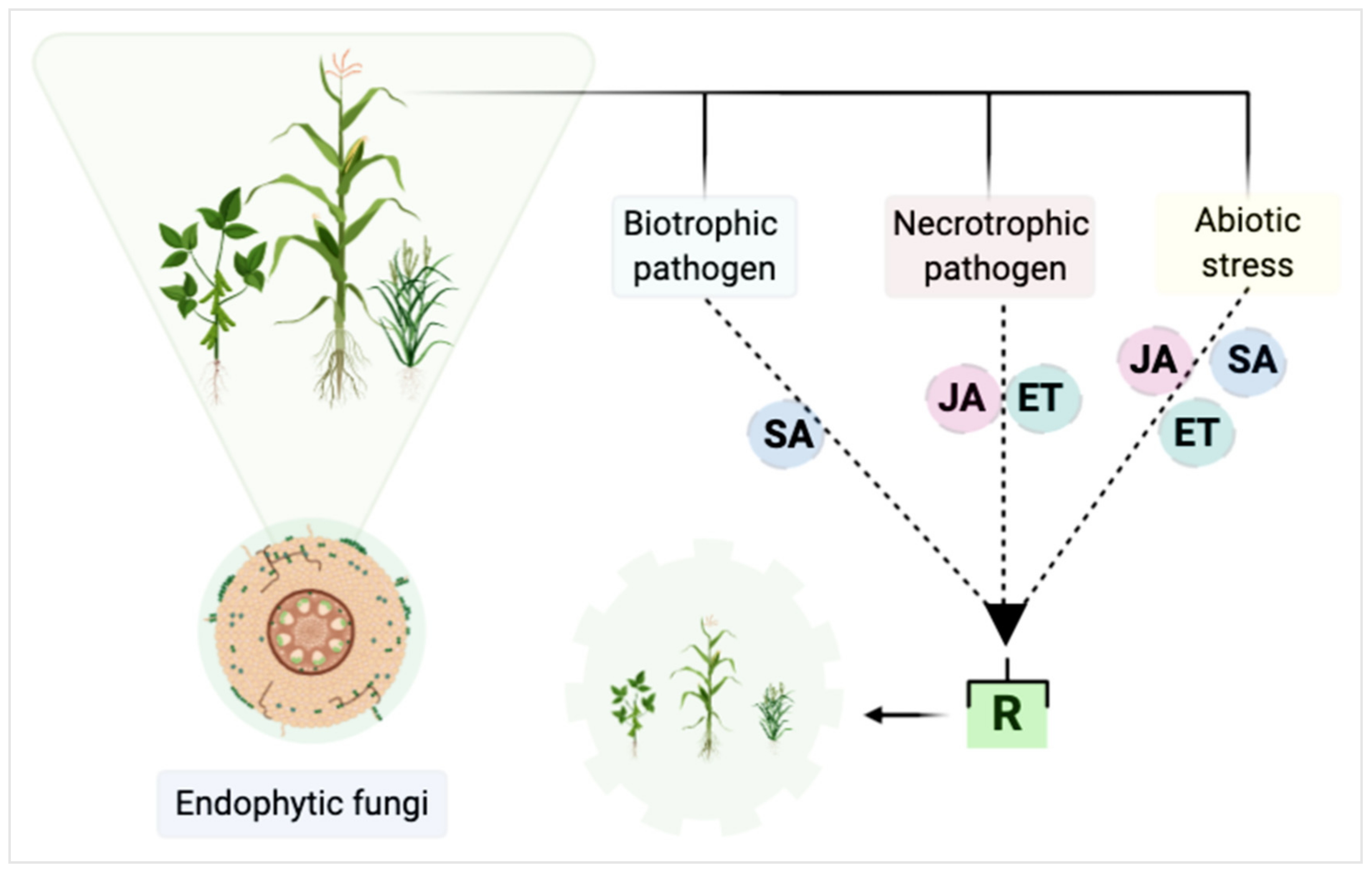 Pathogens 10 00570 g002 Pathogens 10 00570 g002