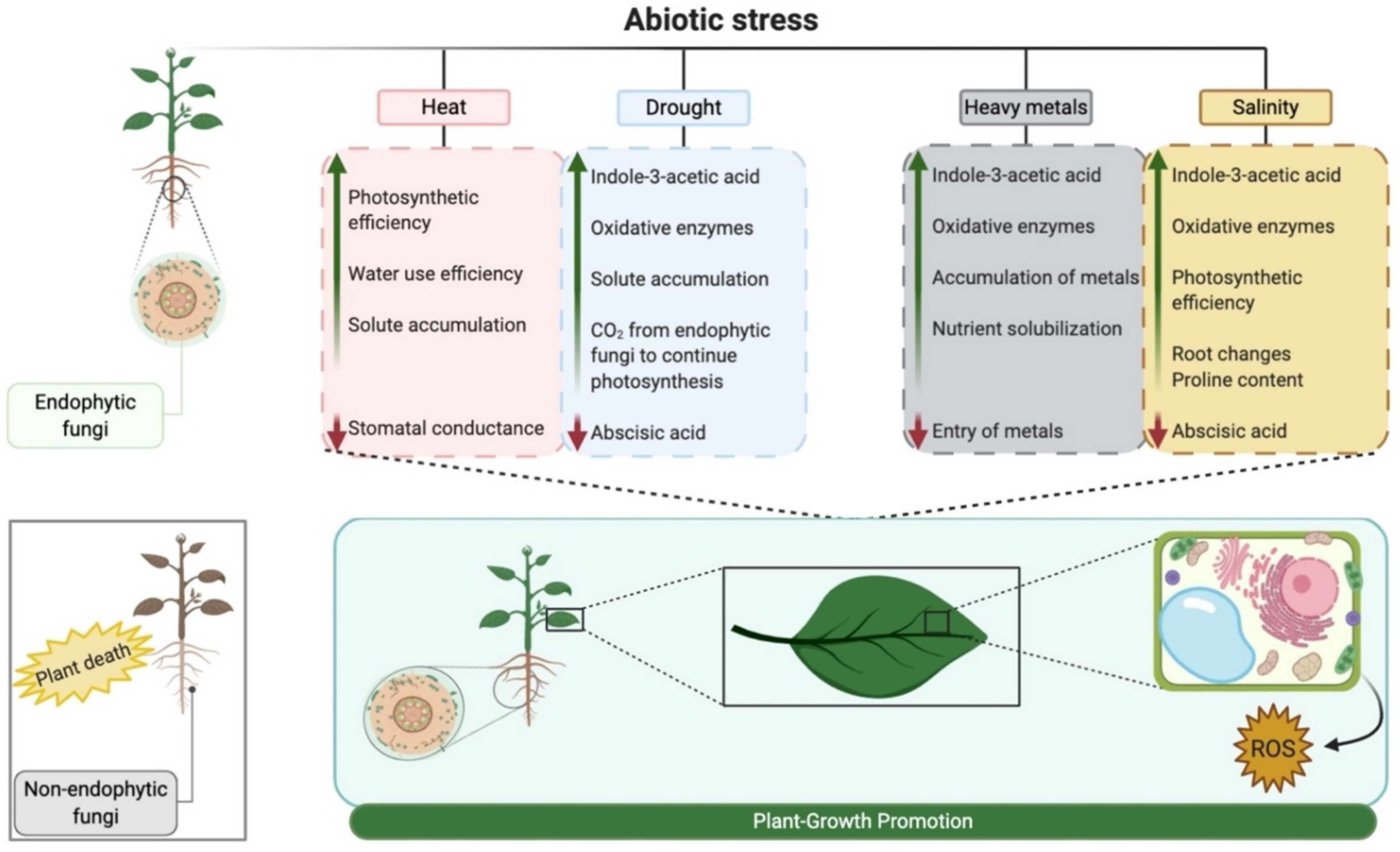 Pathogens 10 00570 g003 Pathogens 10 00570 g003