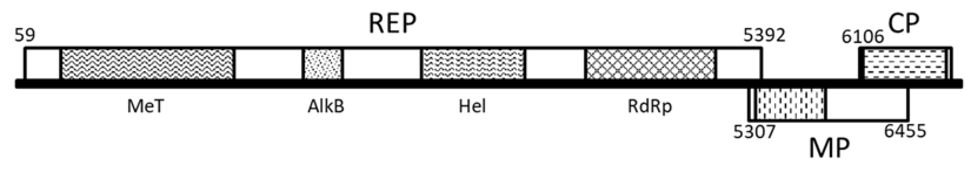 Pathogens 10 00574 g001 Pathogens 10 00574 g001