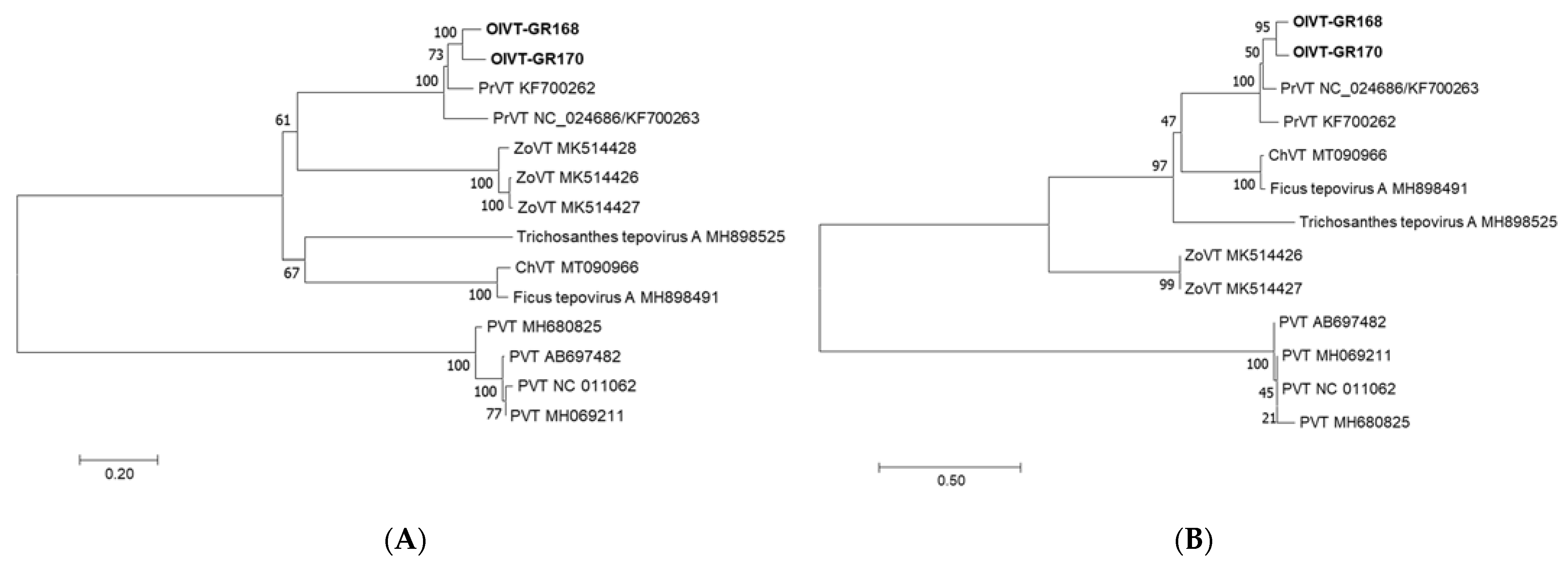 Pathogens 10 00574 g002 Pathogens 10 00574 g002