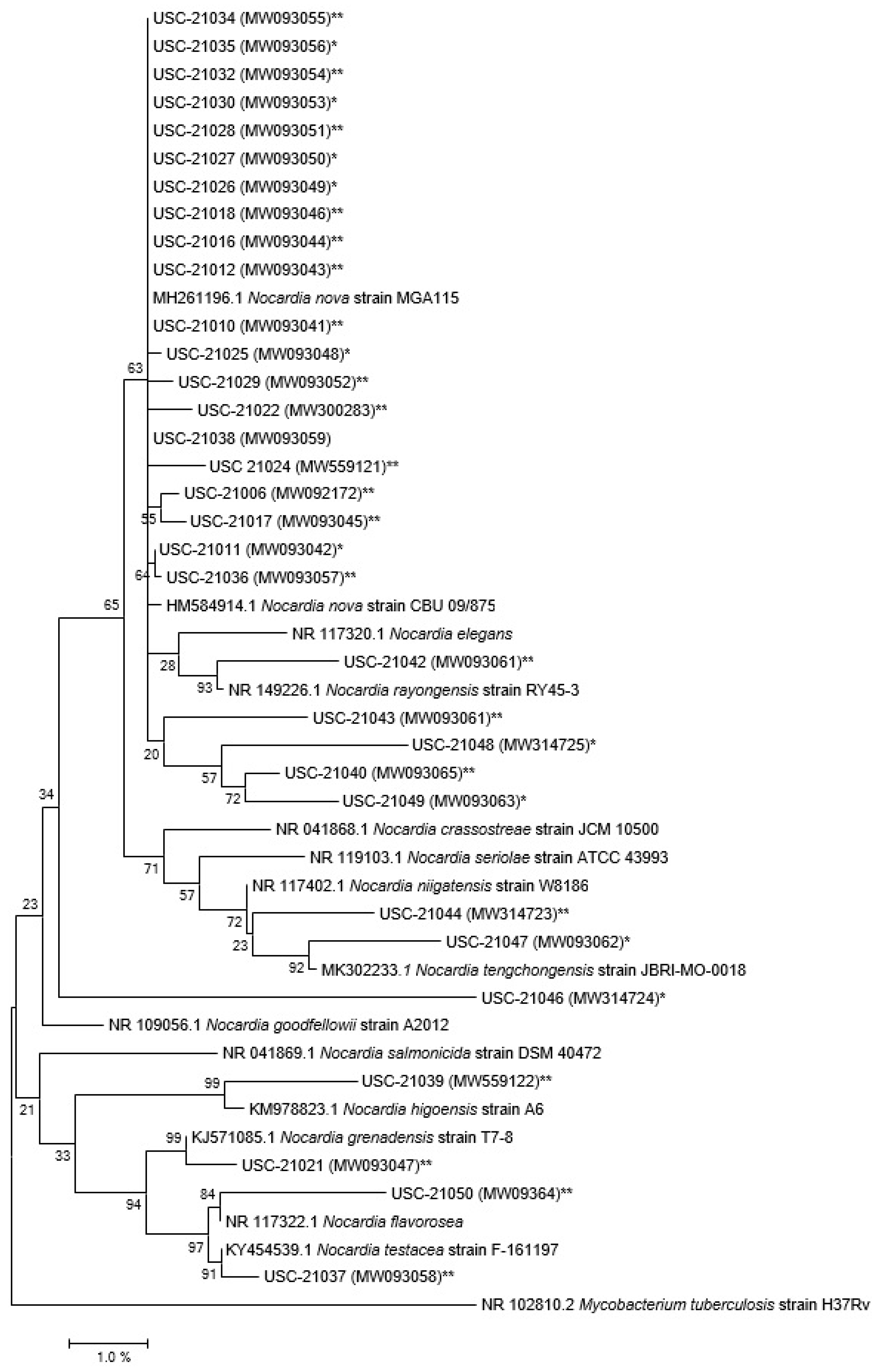 Pathogens 10 00579 g002 Pathogens 10 00579 g002