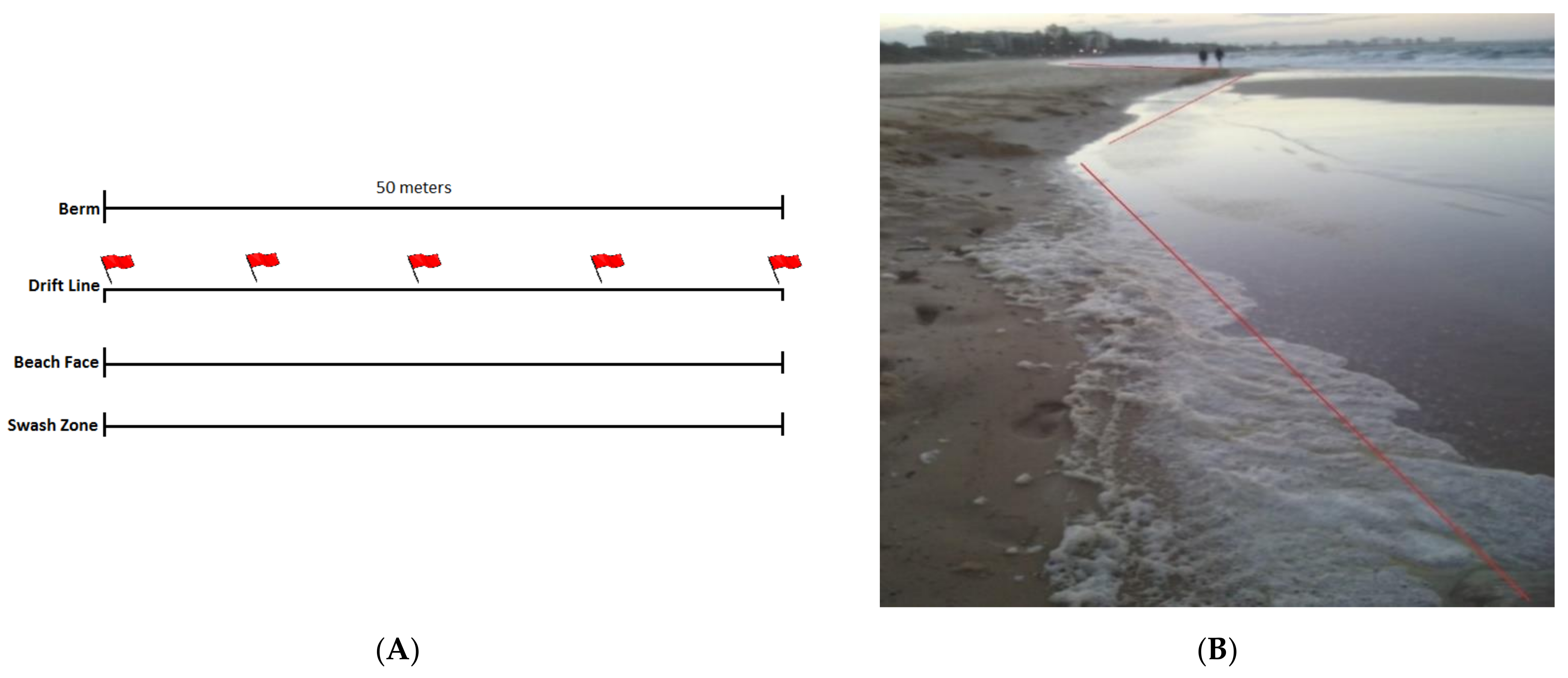 Pathogens 10 00579 g006 Pathogens 10 00579 g006