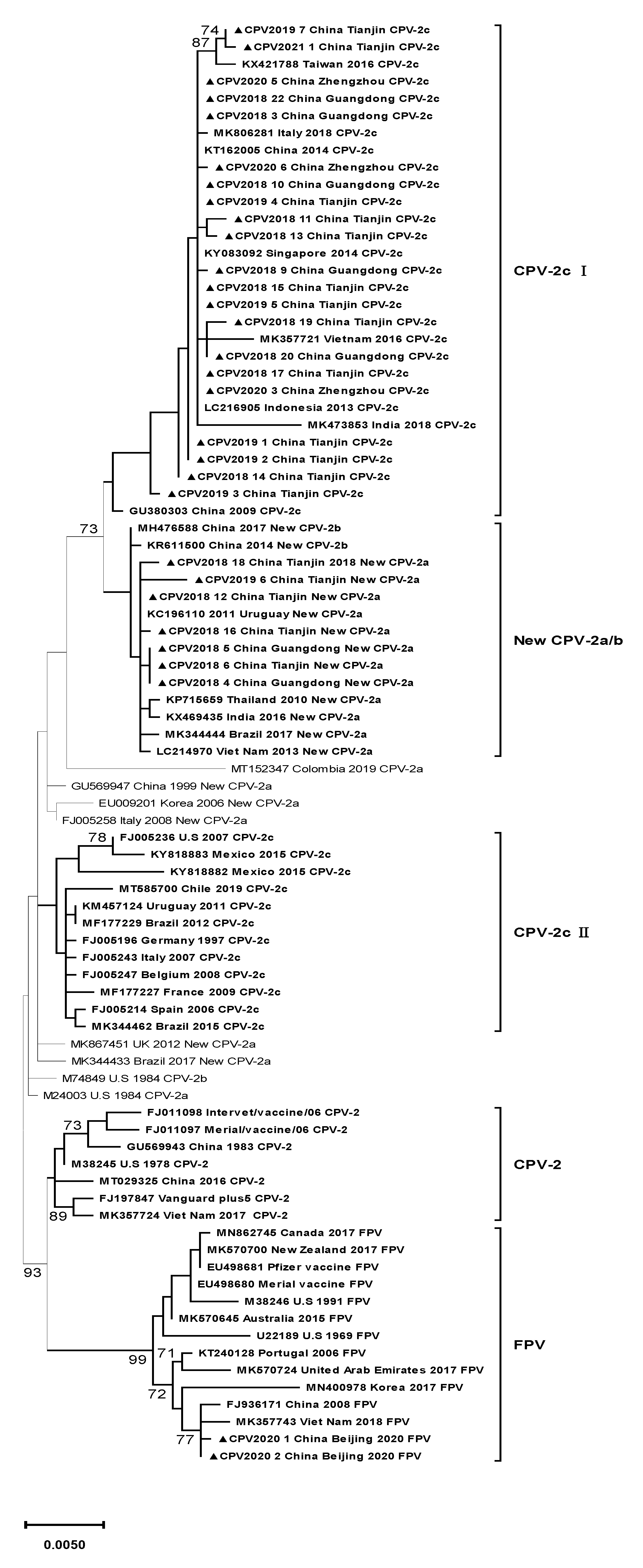 Pathogens 10 00588 g001 Pathogens 10 00588 g001