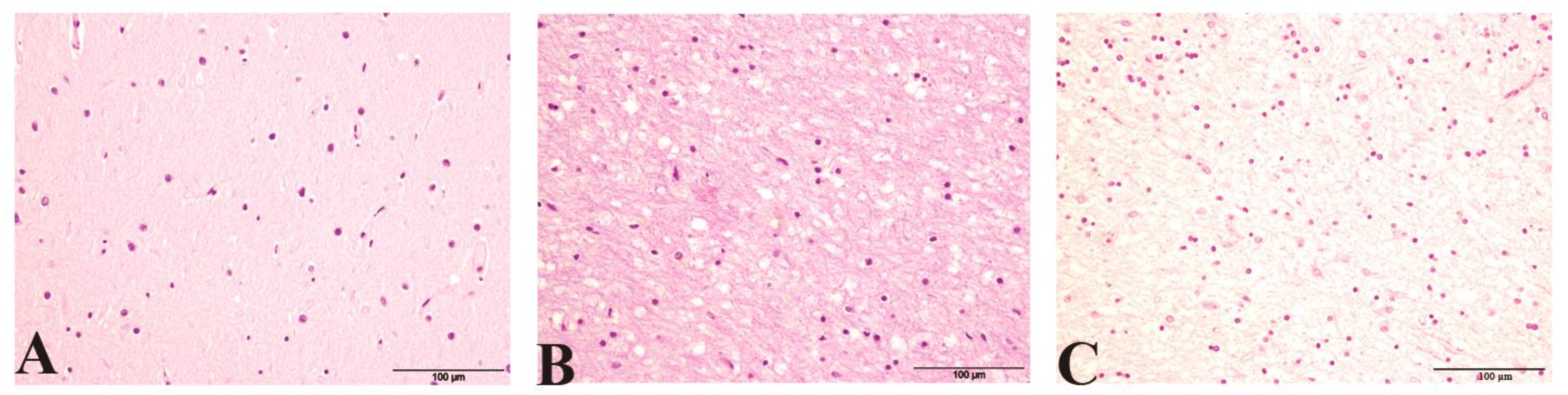 Pathogens 10 00596 g001 Pathogens 10 00596 g001