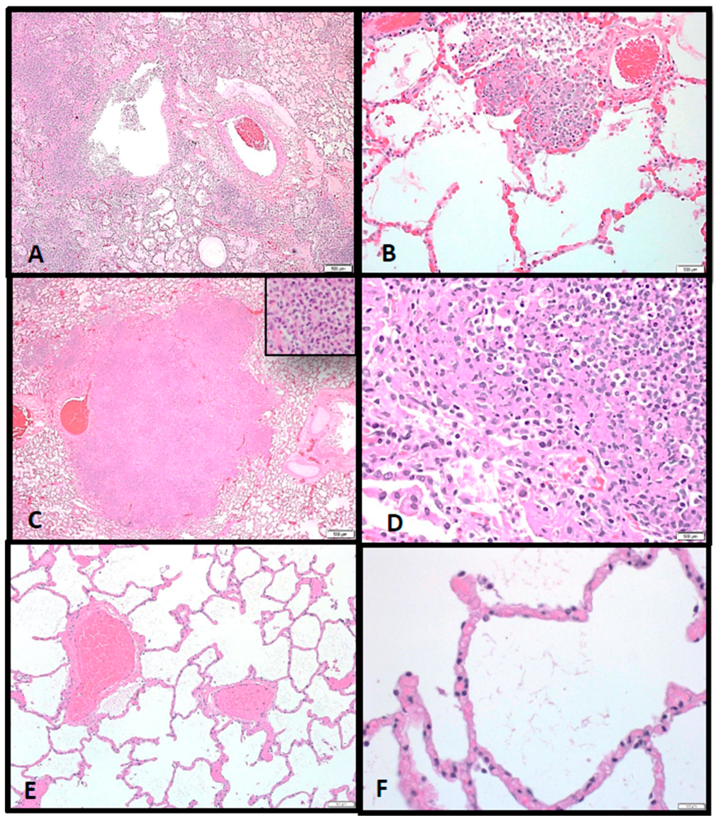 Pathogens 10 00597 g009
