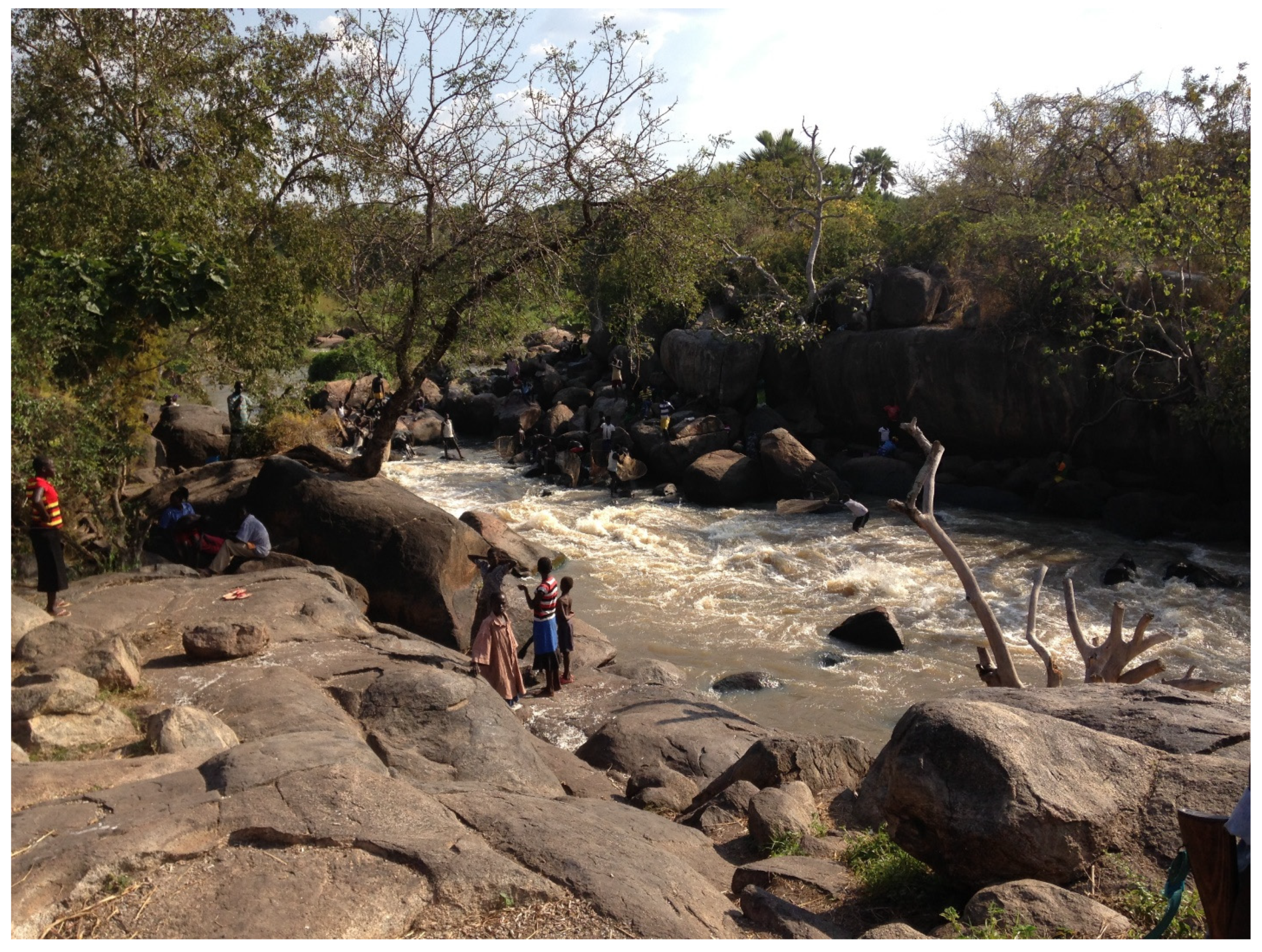 Pathogens 10 00599 g002