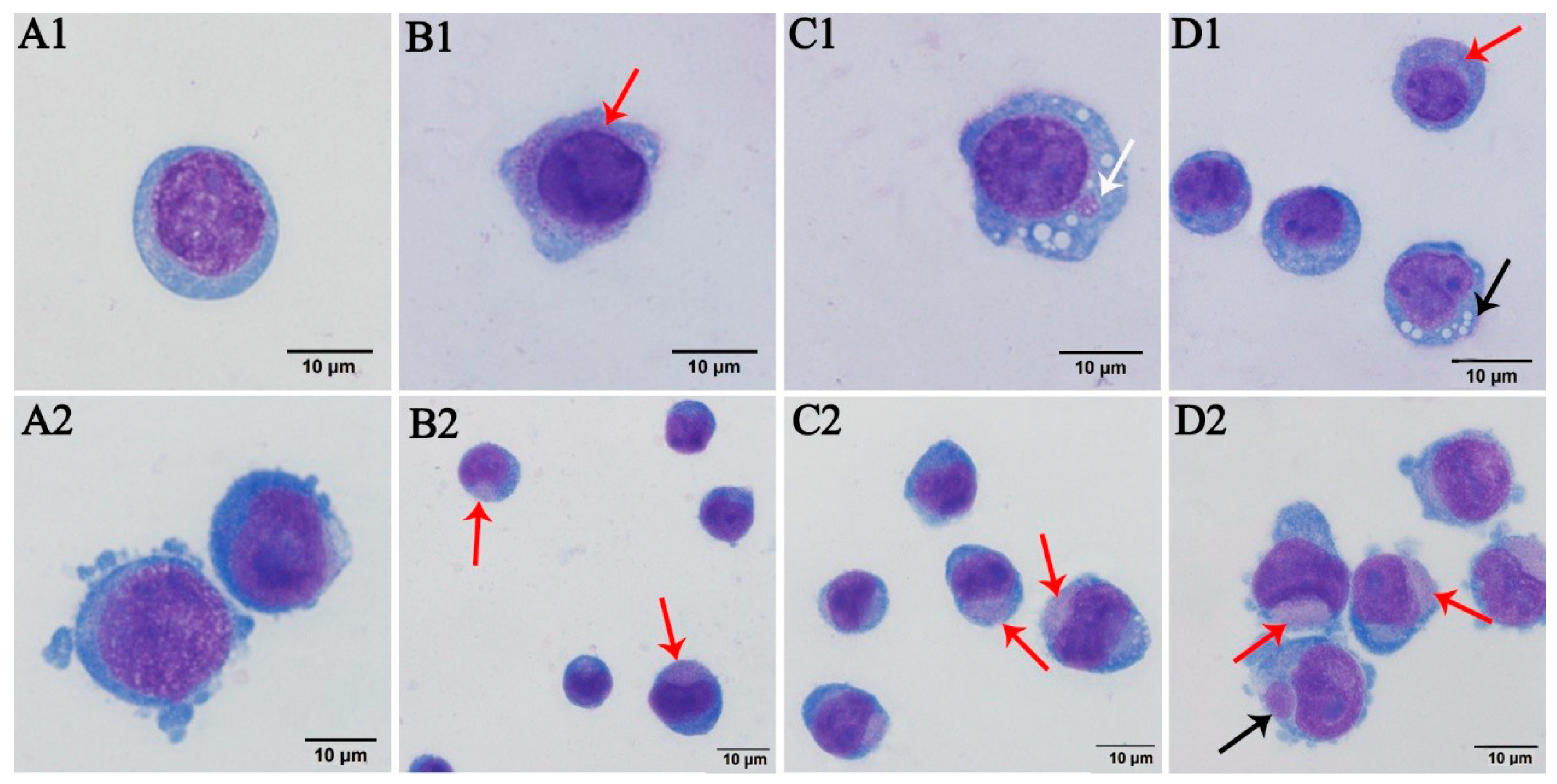 Pathogens 10 00600 g002 Pathogens 10 00600 g002