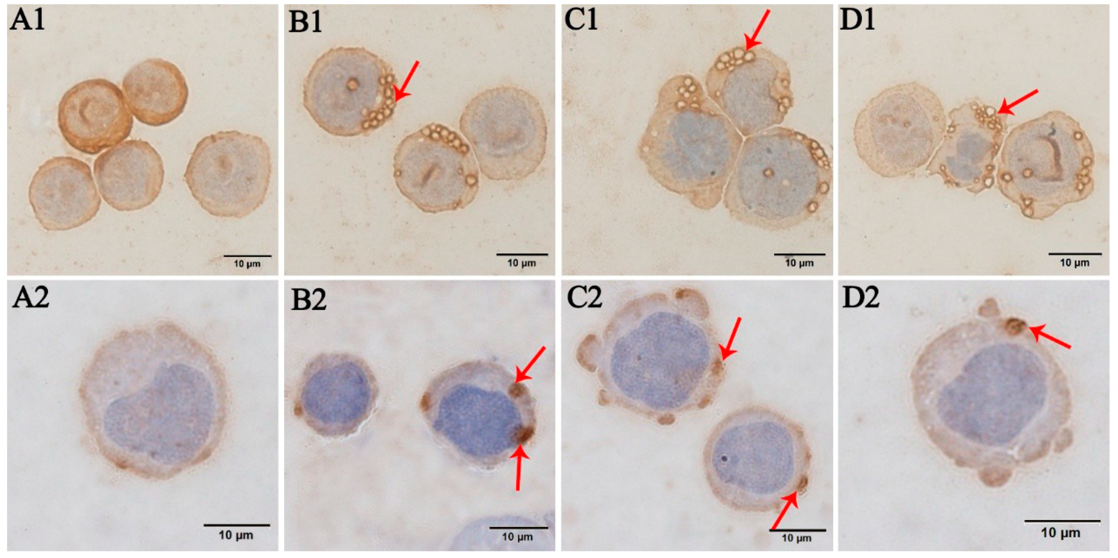 Pathogens 10 00600 g004 Pathogens 10 00600 g004