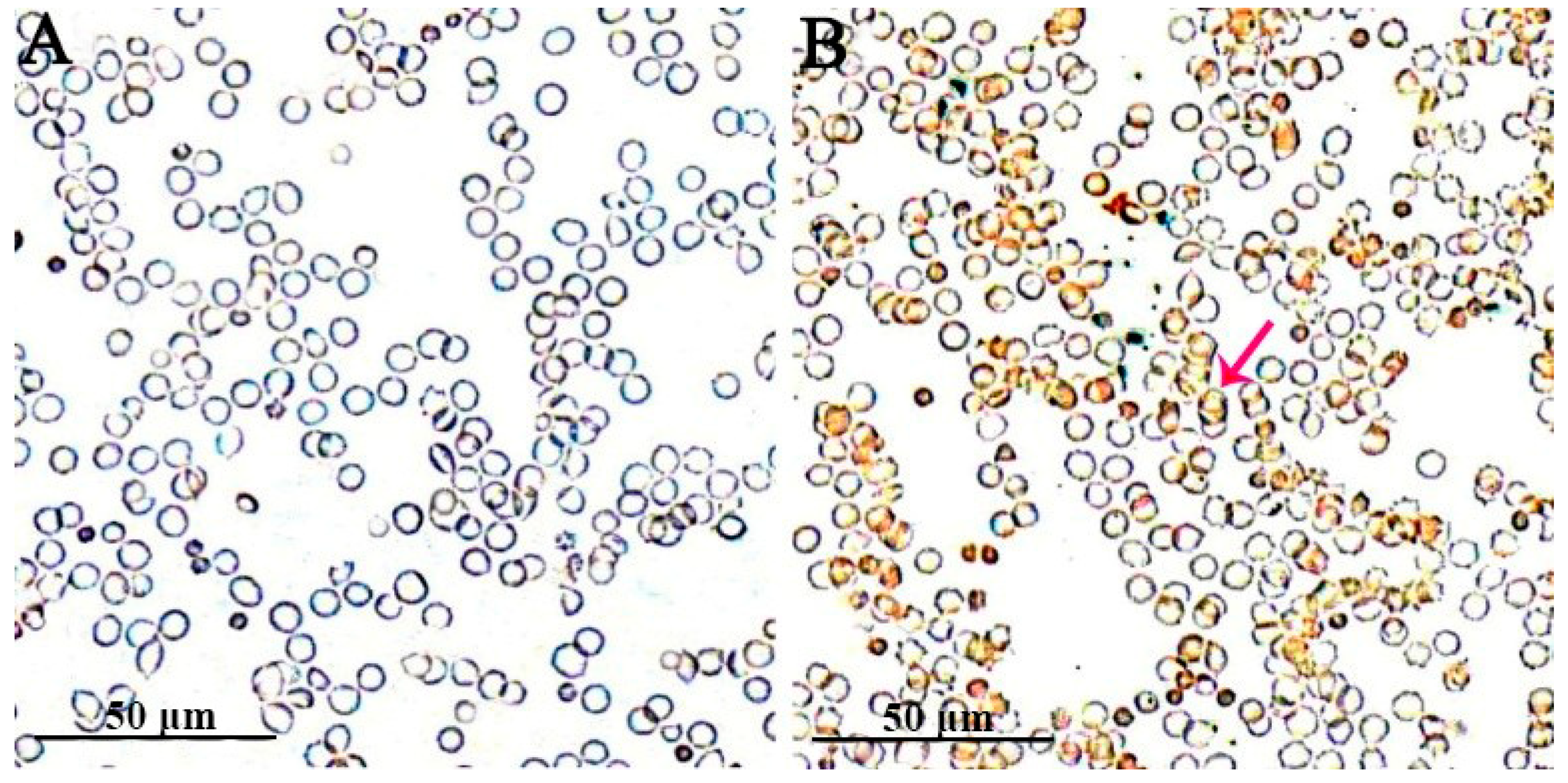 Pathogens 10 00600 g005 Pathogens 10 00600 g005