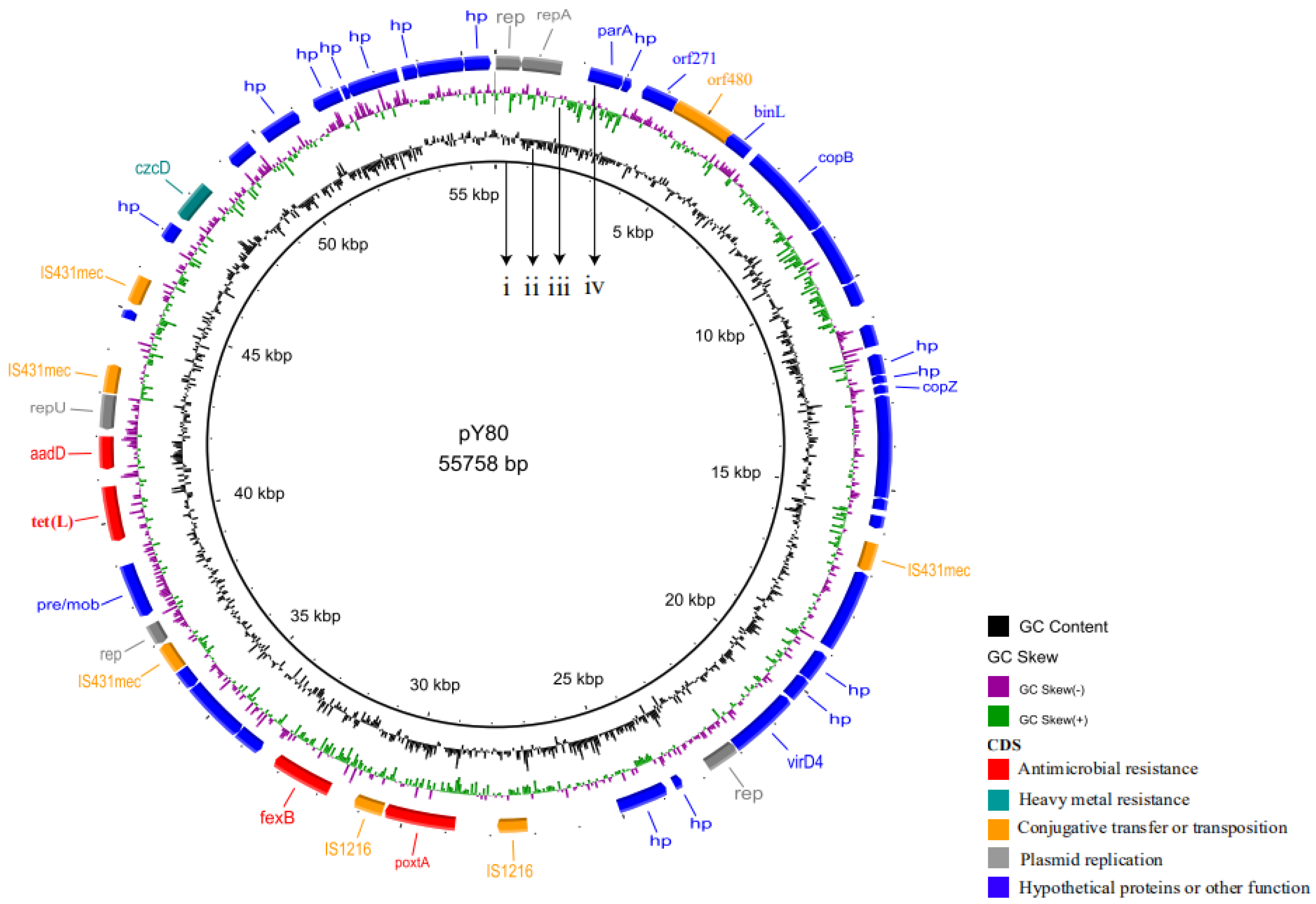 Pathogens 10 00601 g002