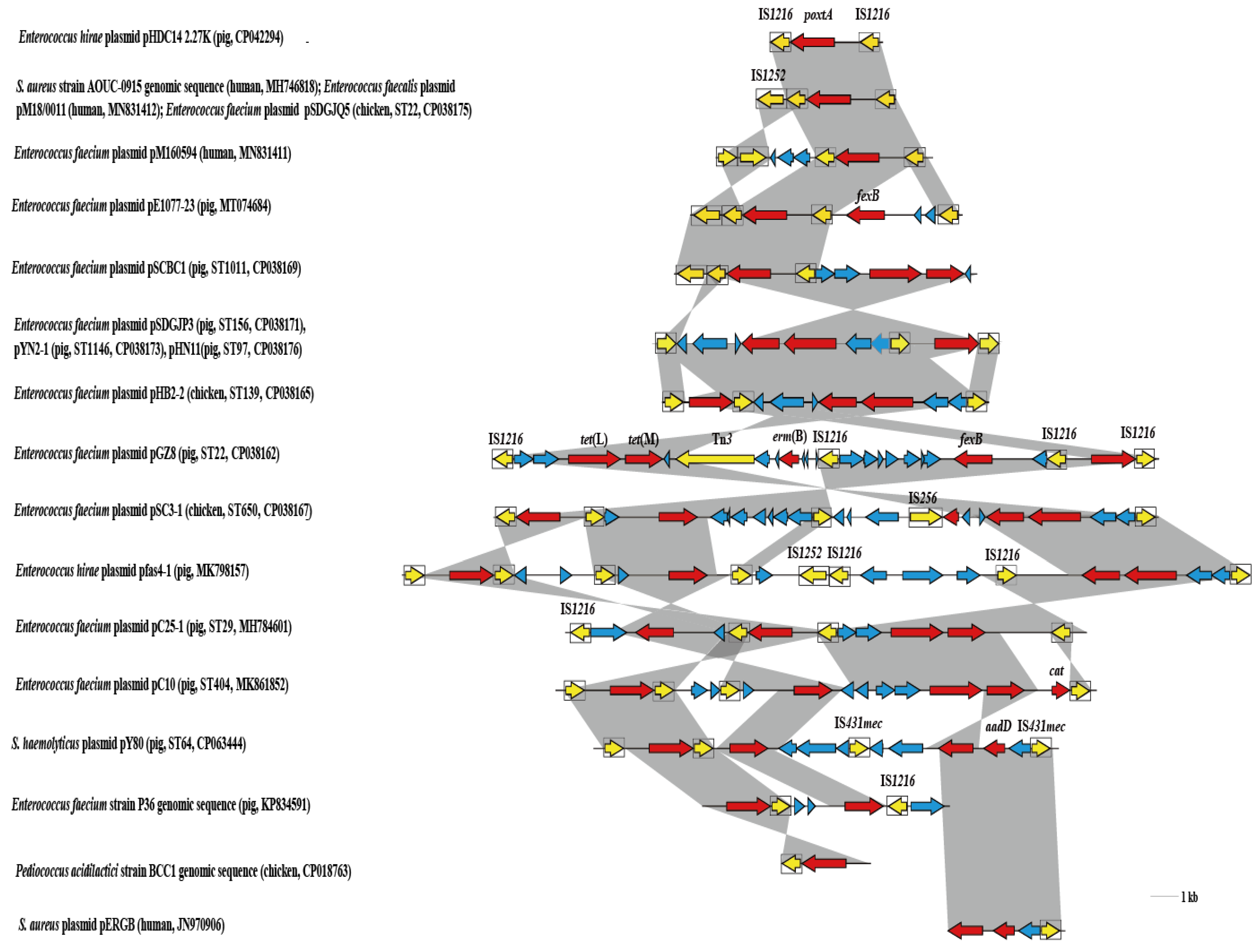 Pathogens 10 00601 g003