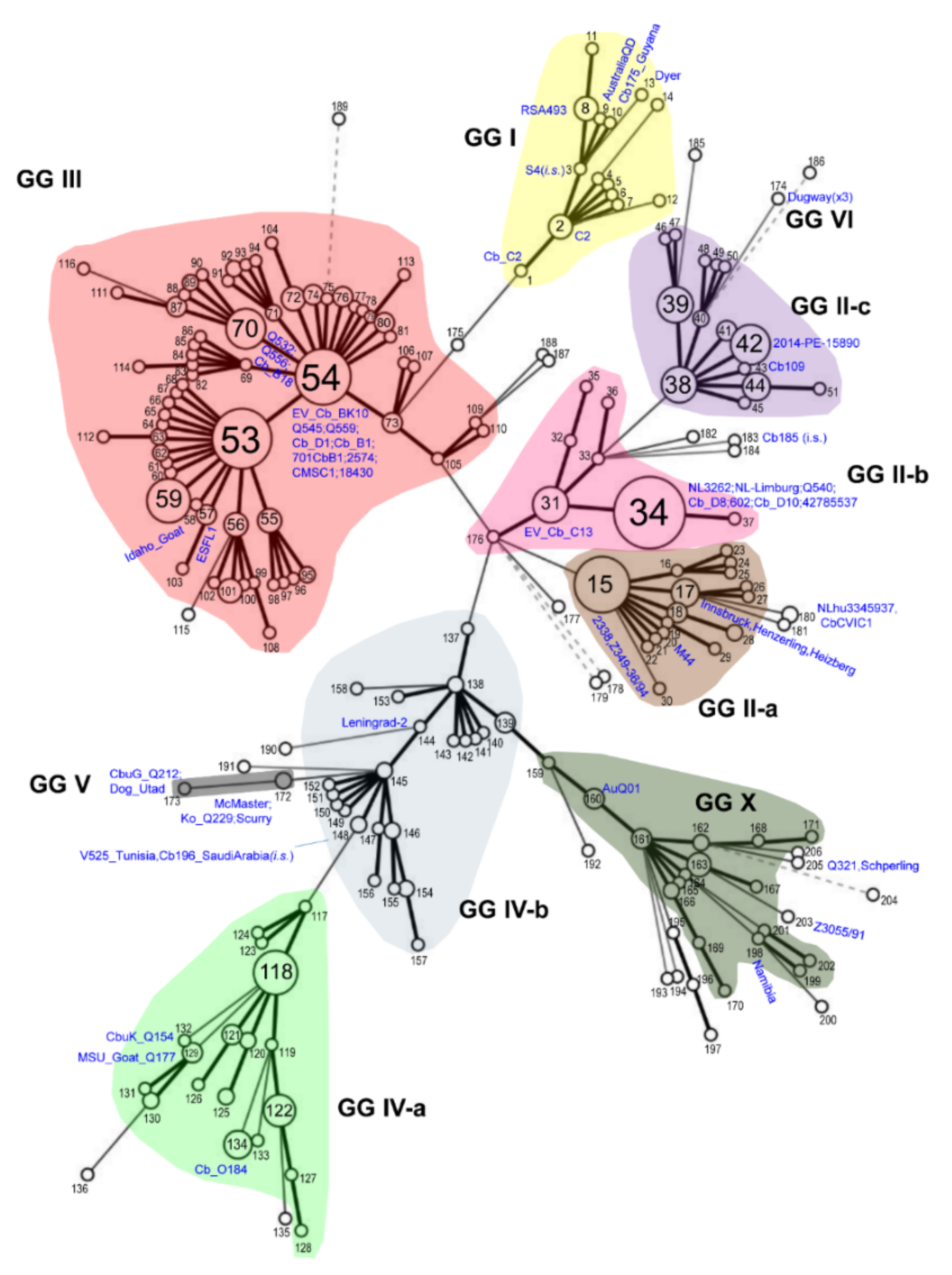 Pathogens 10 00604 g001 Pathogens 10 00604 g001