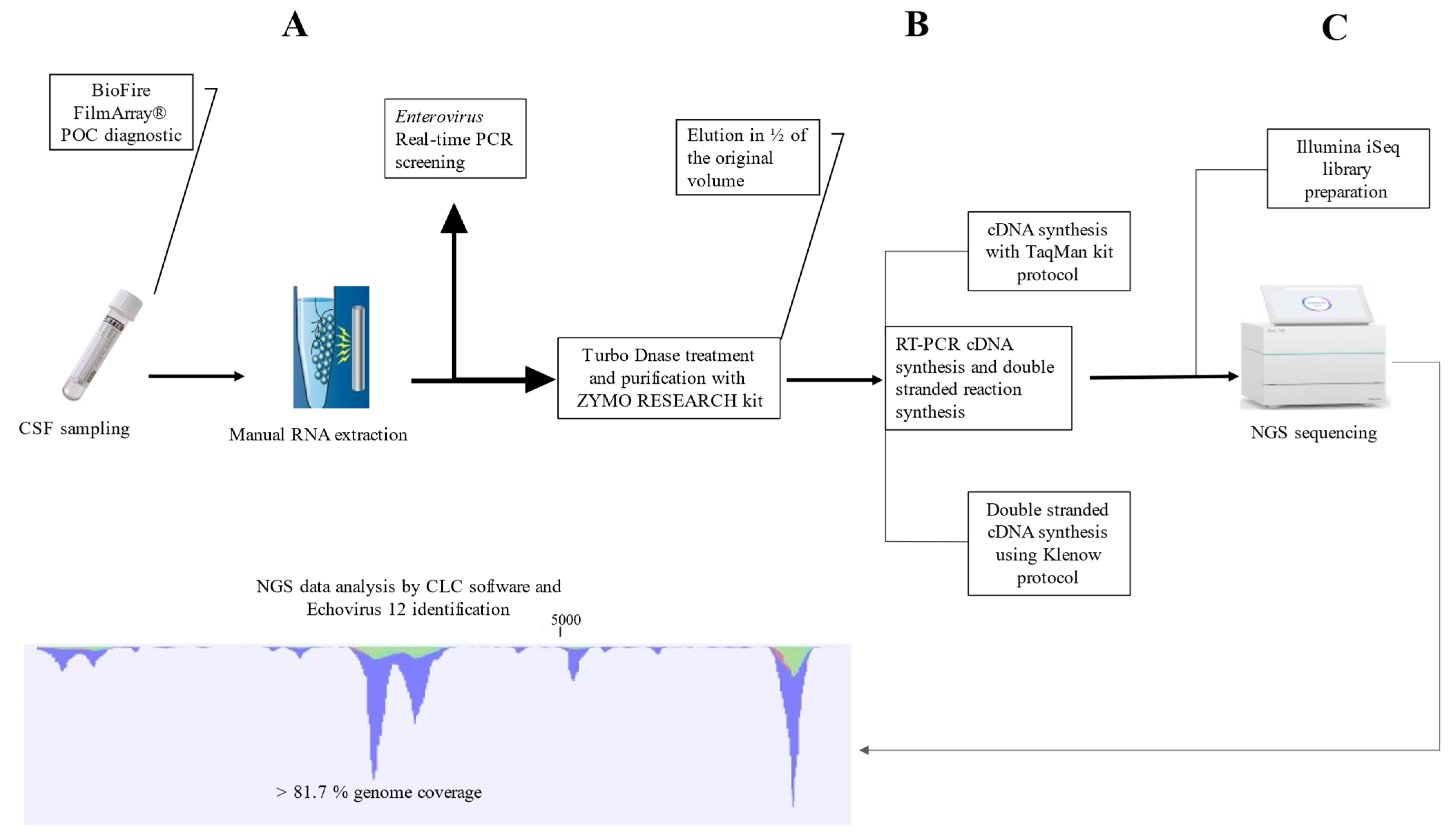 Pathogens 10 00610 g001 Pathogens 10 00610 g001