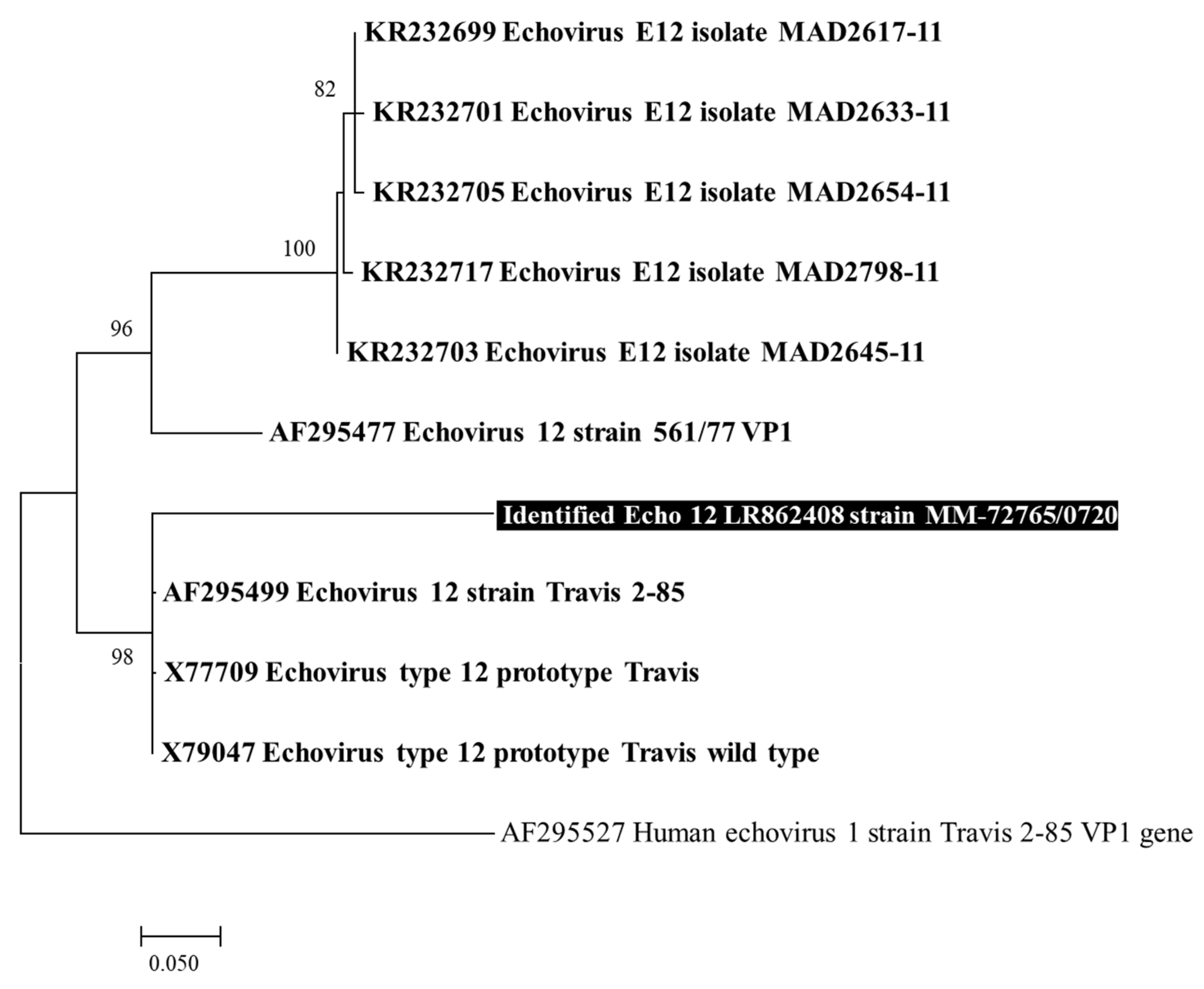 Pathogens 10 00610 g002 Pathogens 10 00610 g002