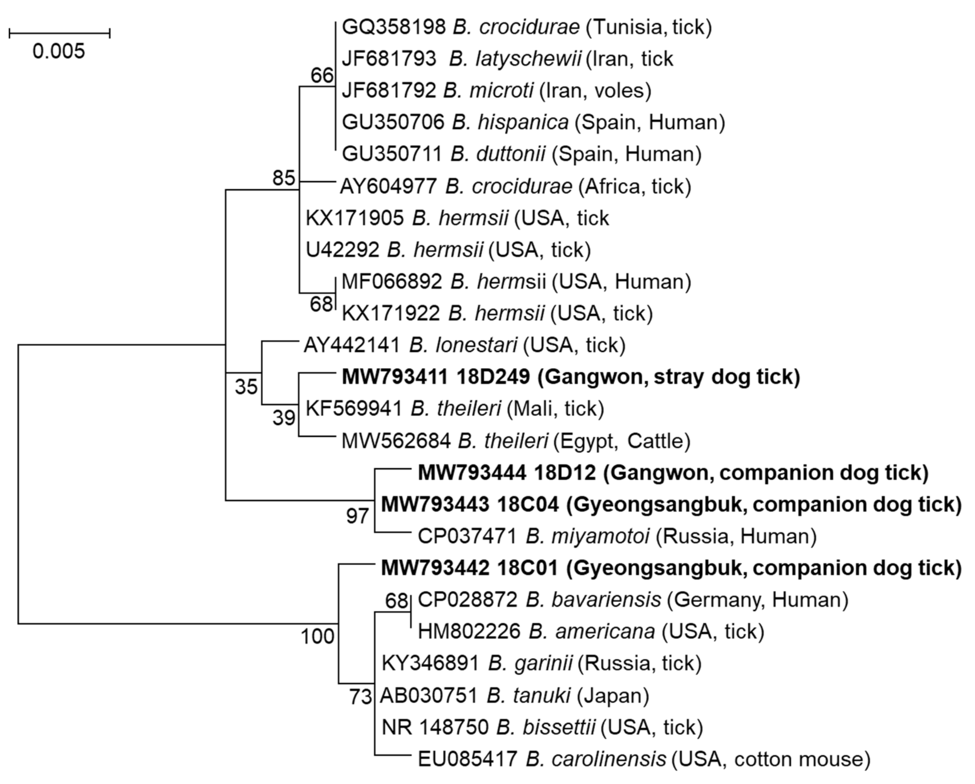 Pathogens 10 00613 g005