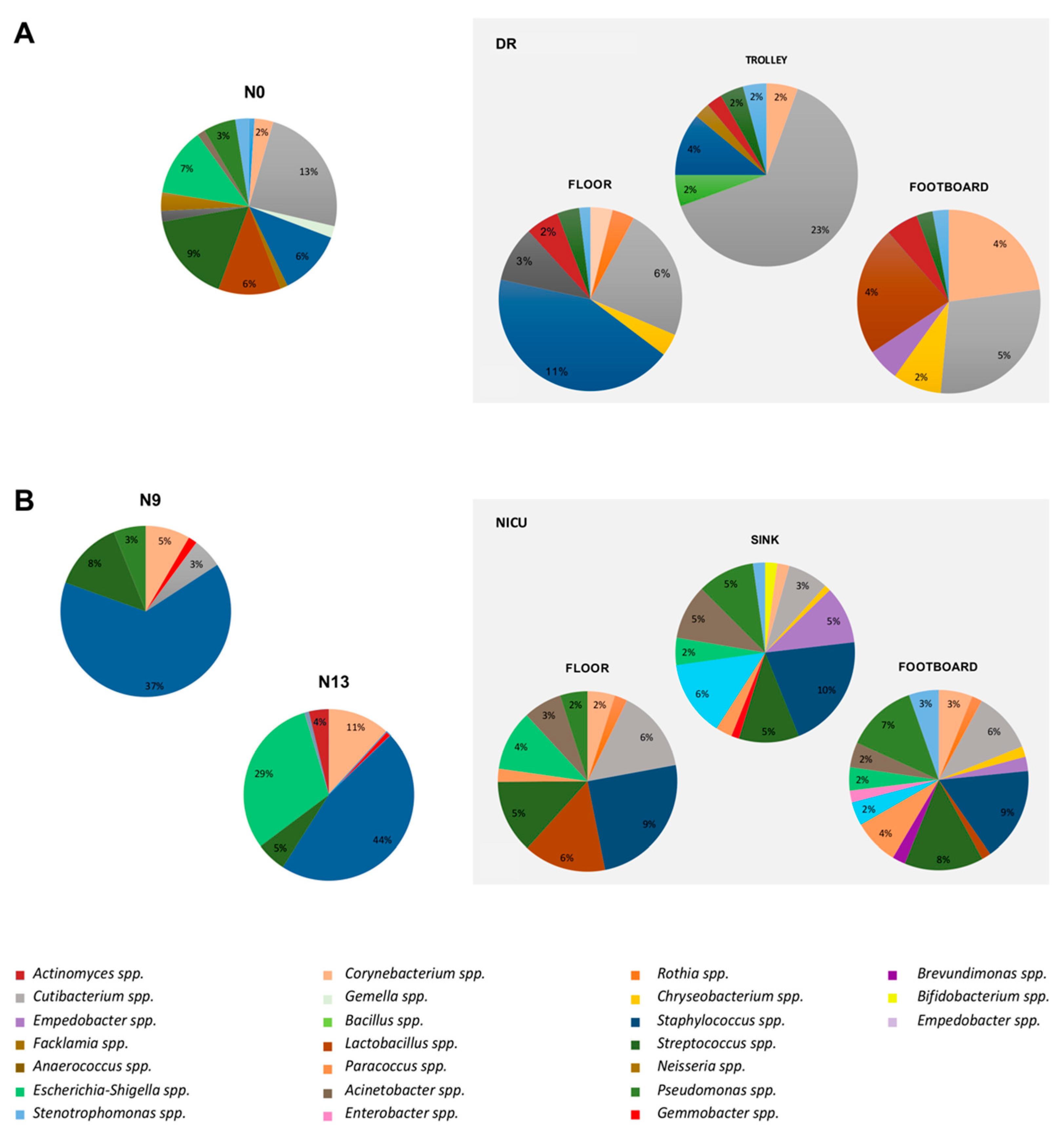 Pathogens 10 00615 g004