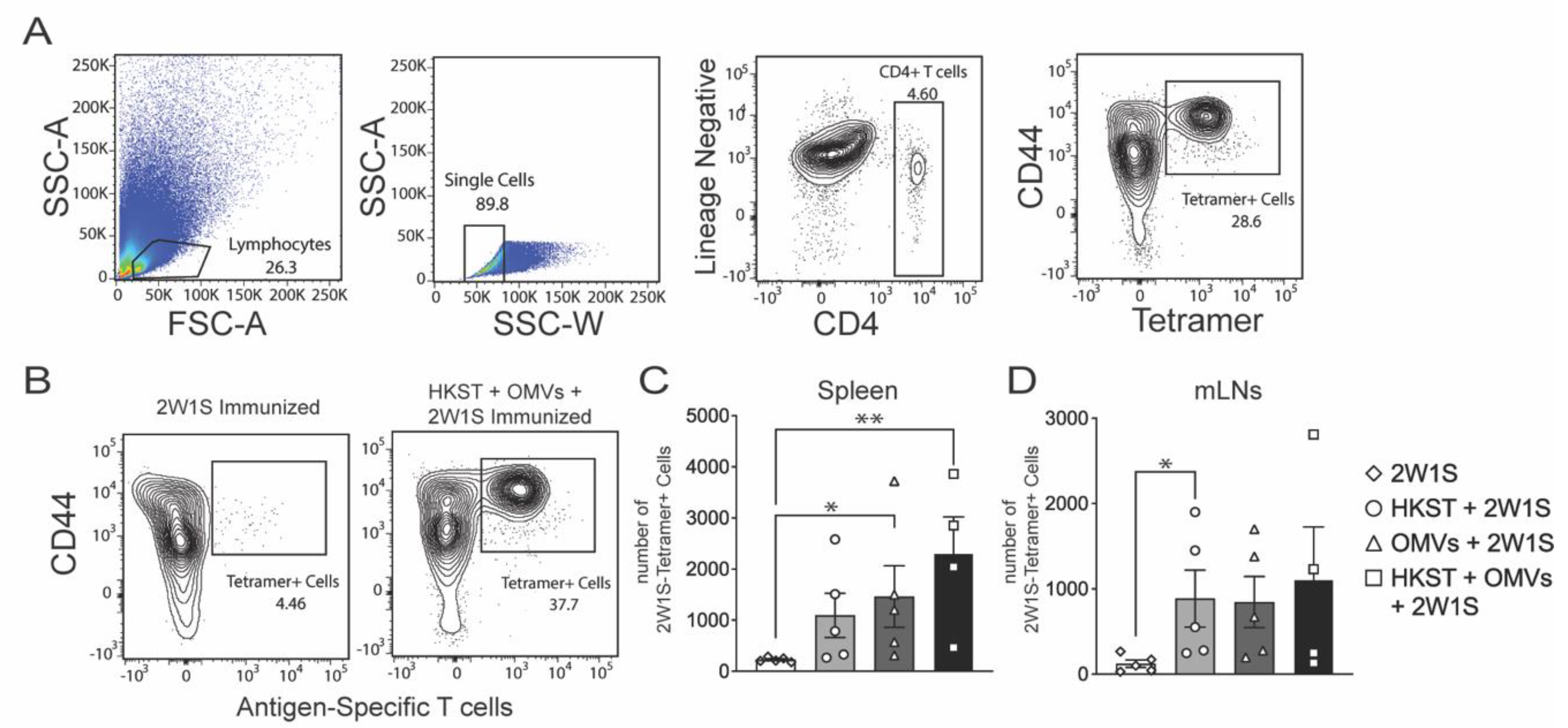 Pathogens 10 00616 g004 Pathogens 10 00616 g004