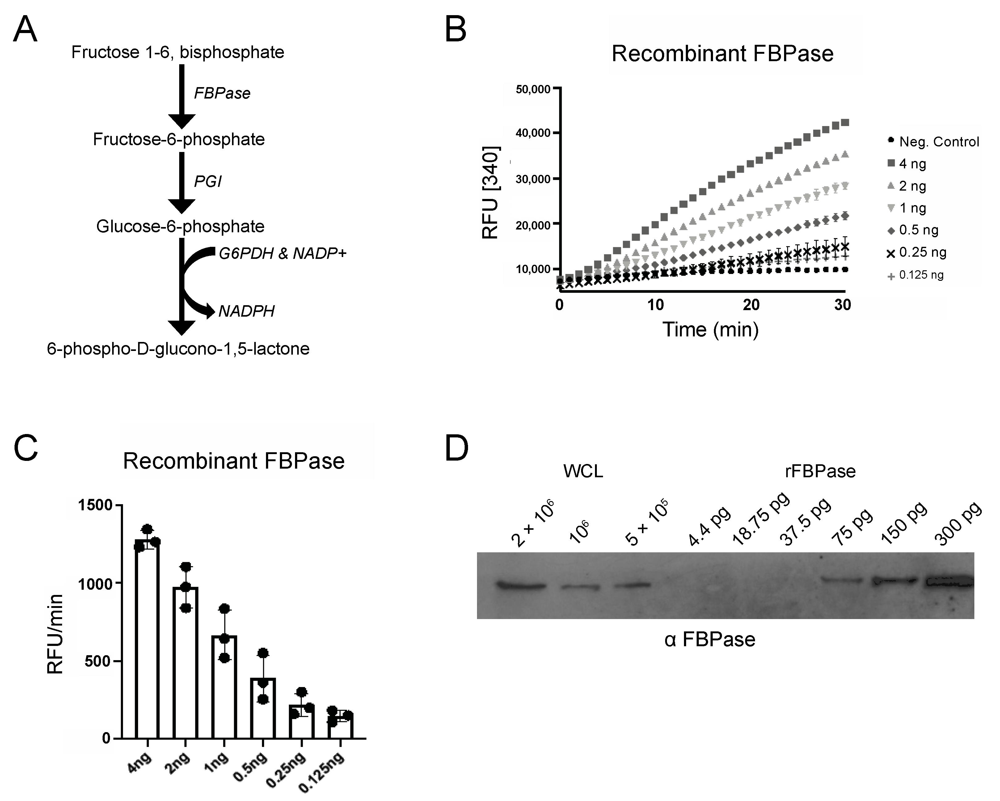 Pathogens 10 00617 g001