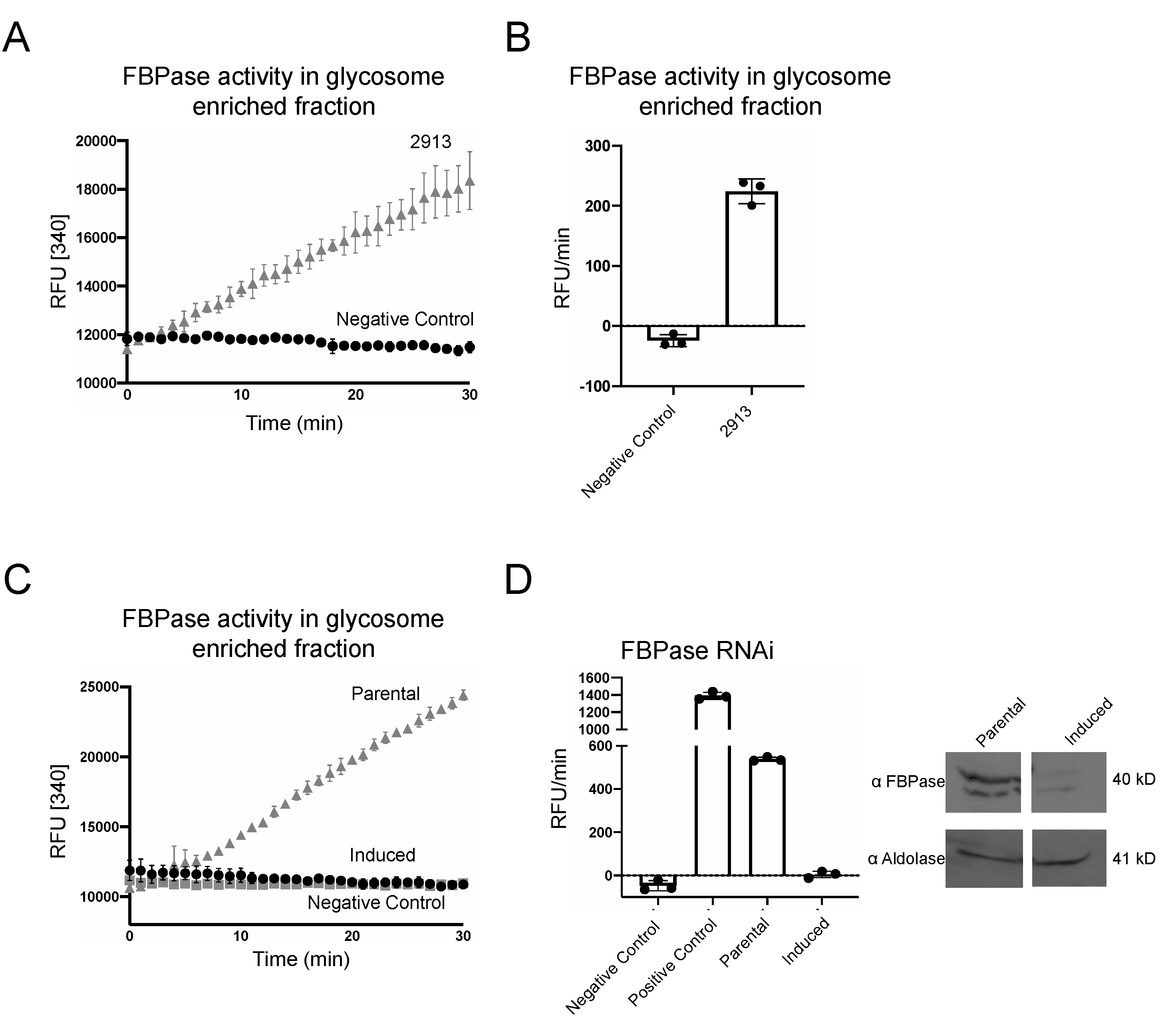 Pathogens 10 00617 g002