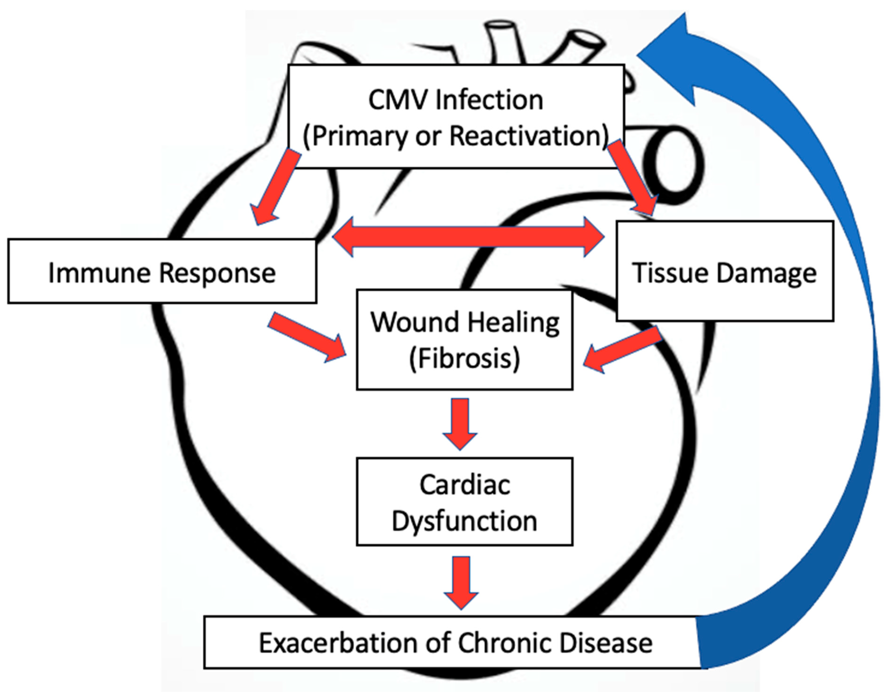 Pathogens 10 00619 g001