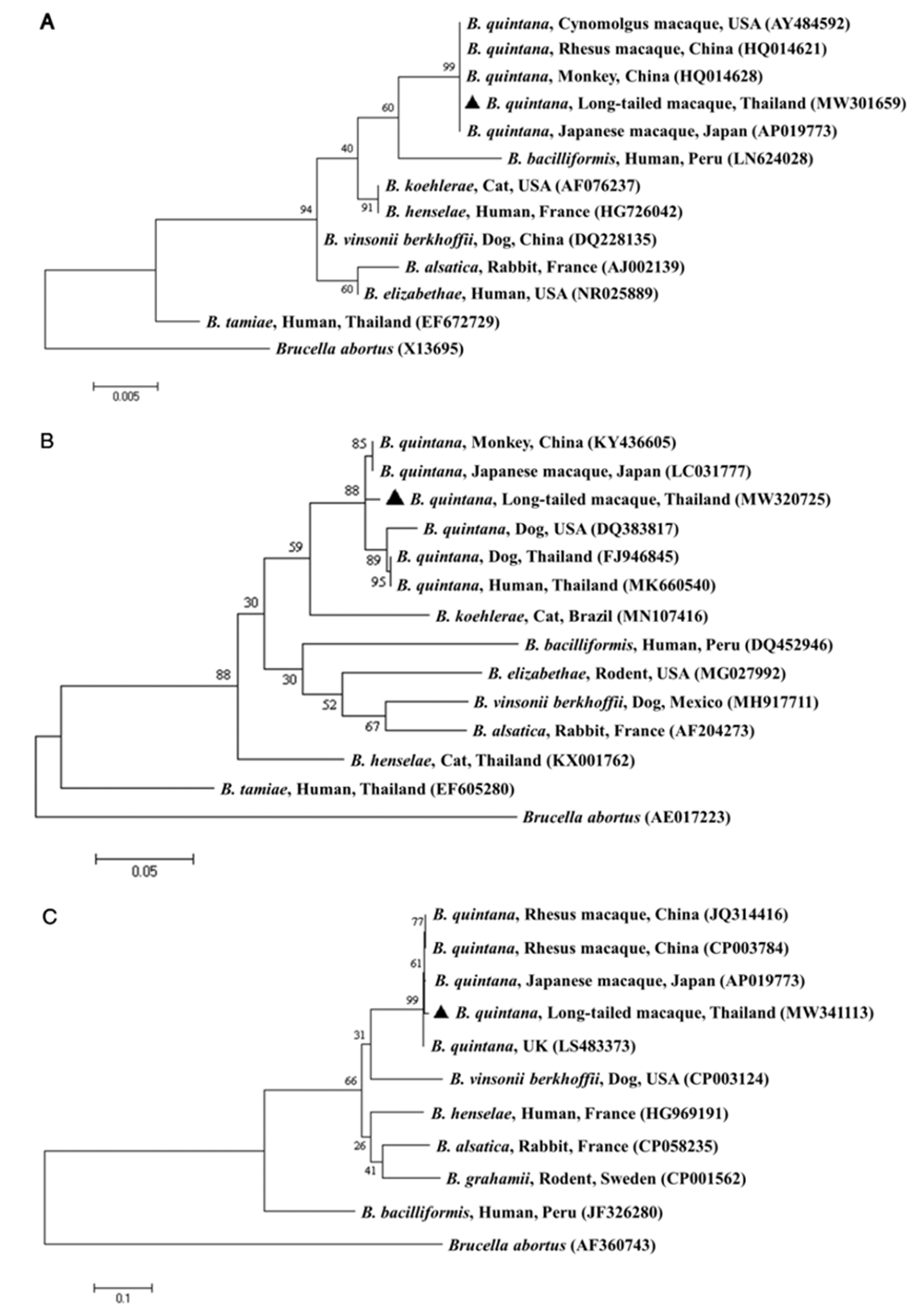 Pathogens 10 00629 g001 Pathogens 10 00629 g001